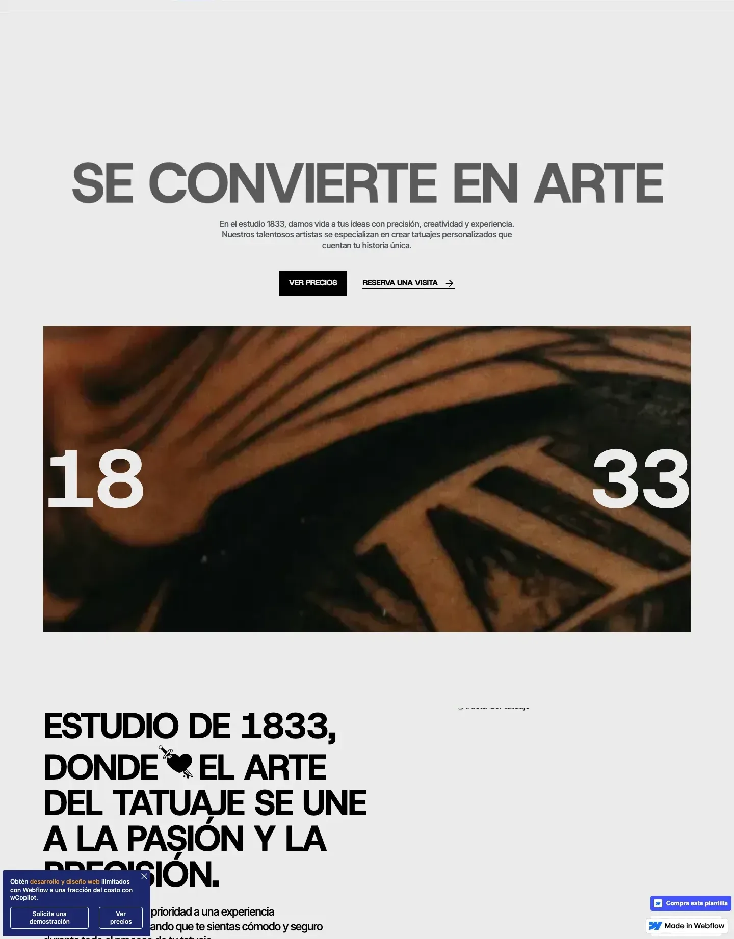 Diseño de página web para agencias y estudios