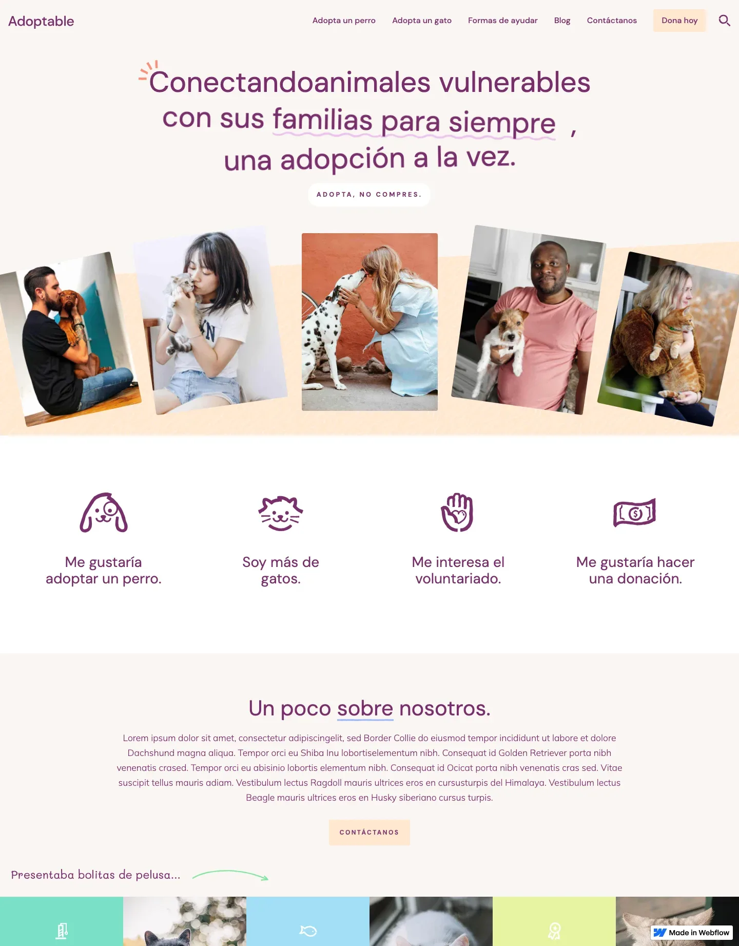 Diseño de página web para veterinarias