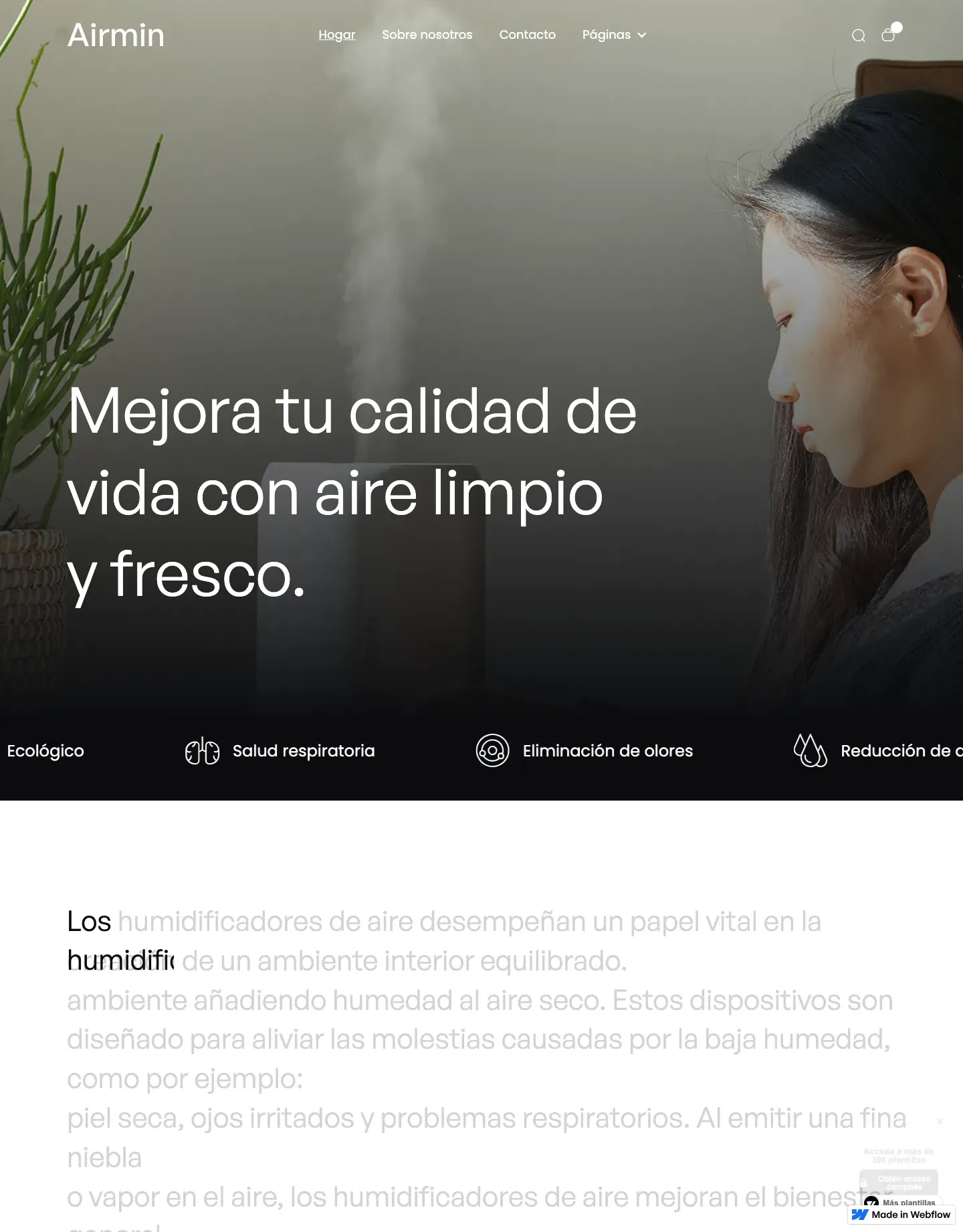 Diseño de página web para tienda en línea