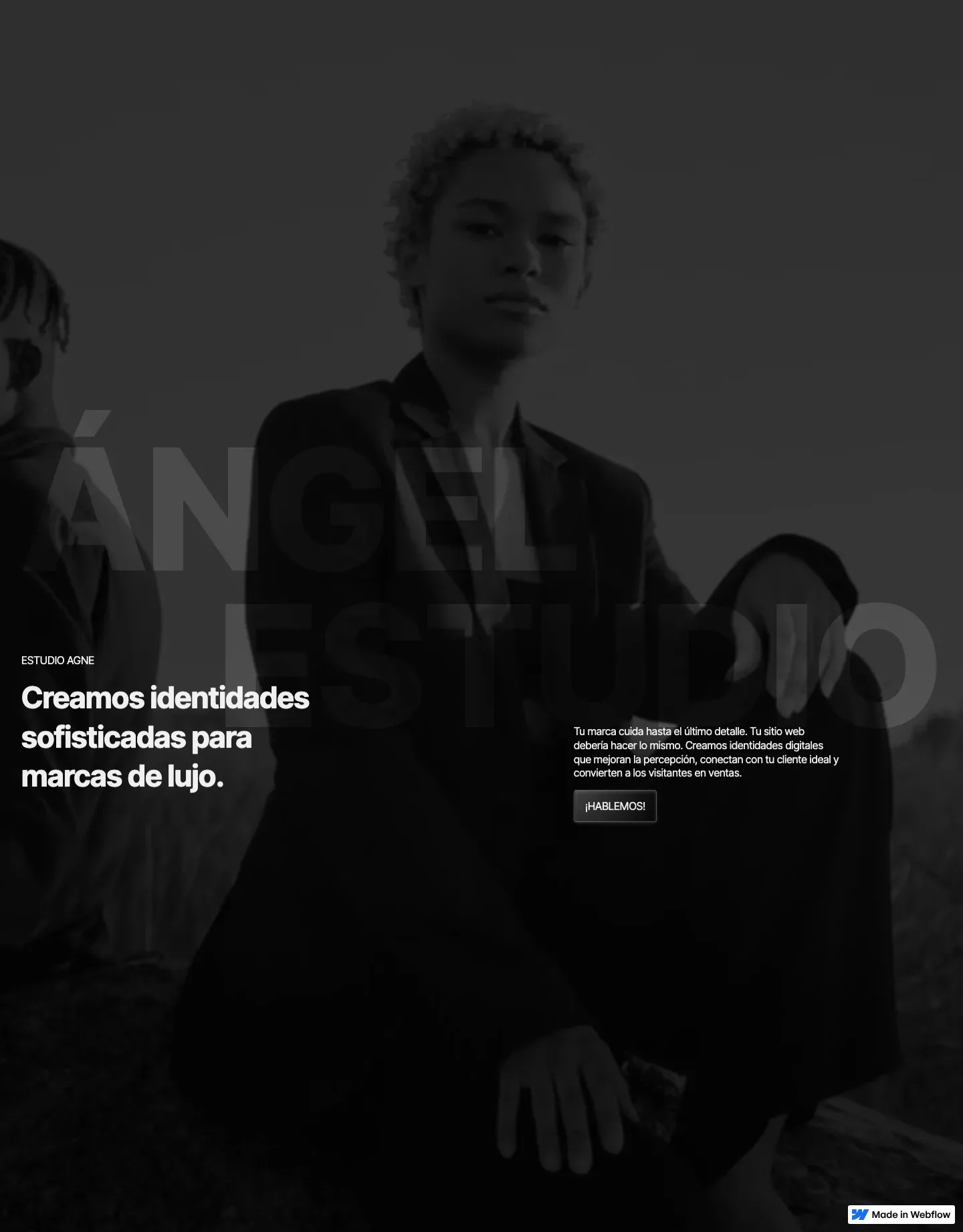 Diseño de página web para agencias y estudios