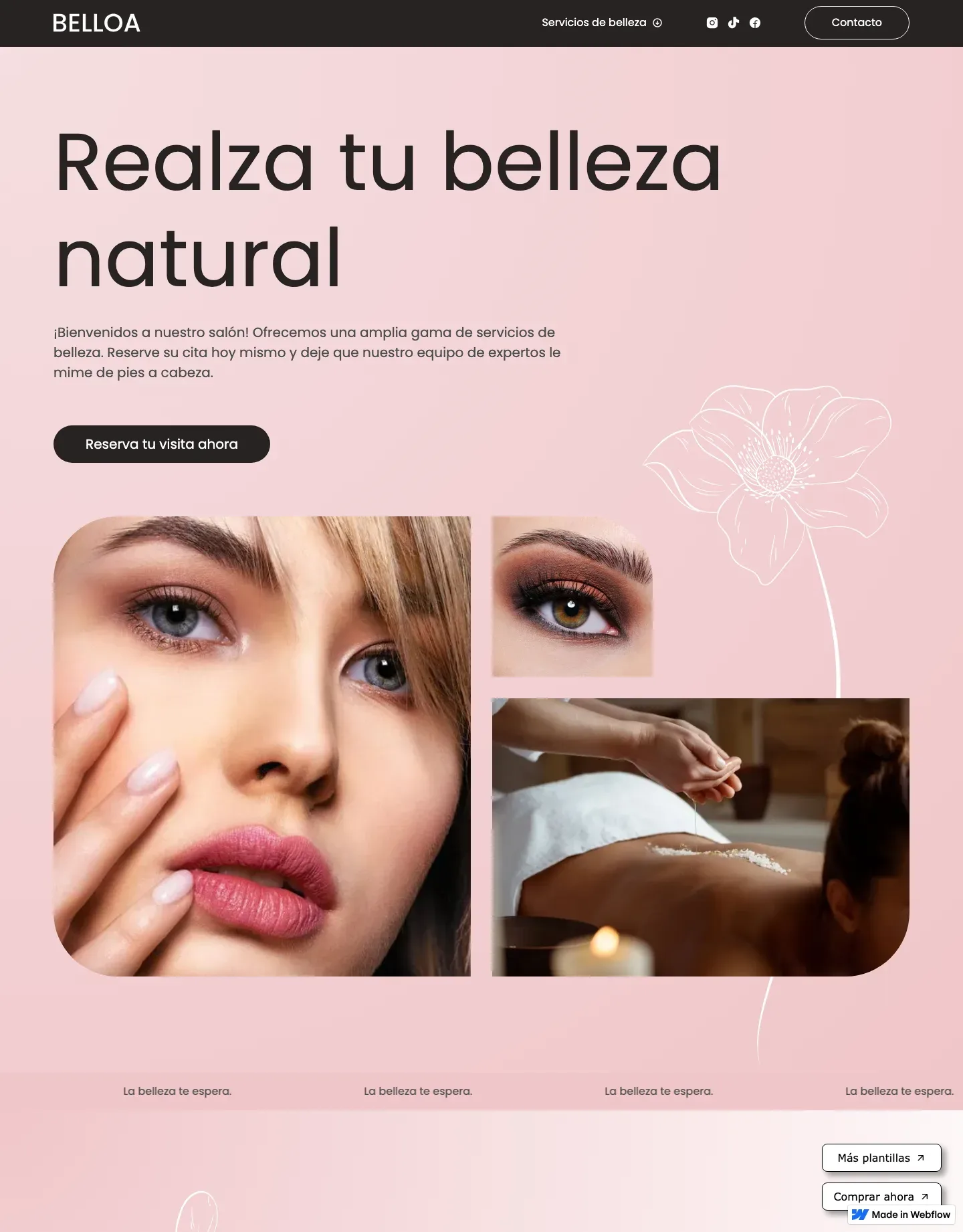 Diseño de página web para belleza y estética