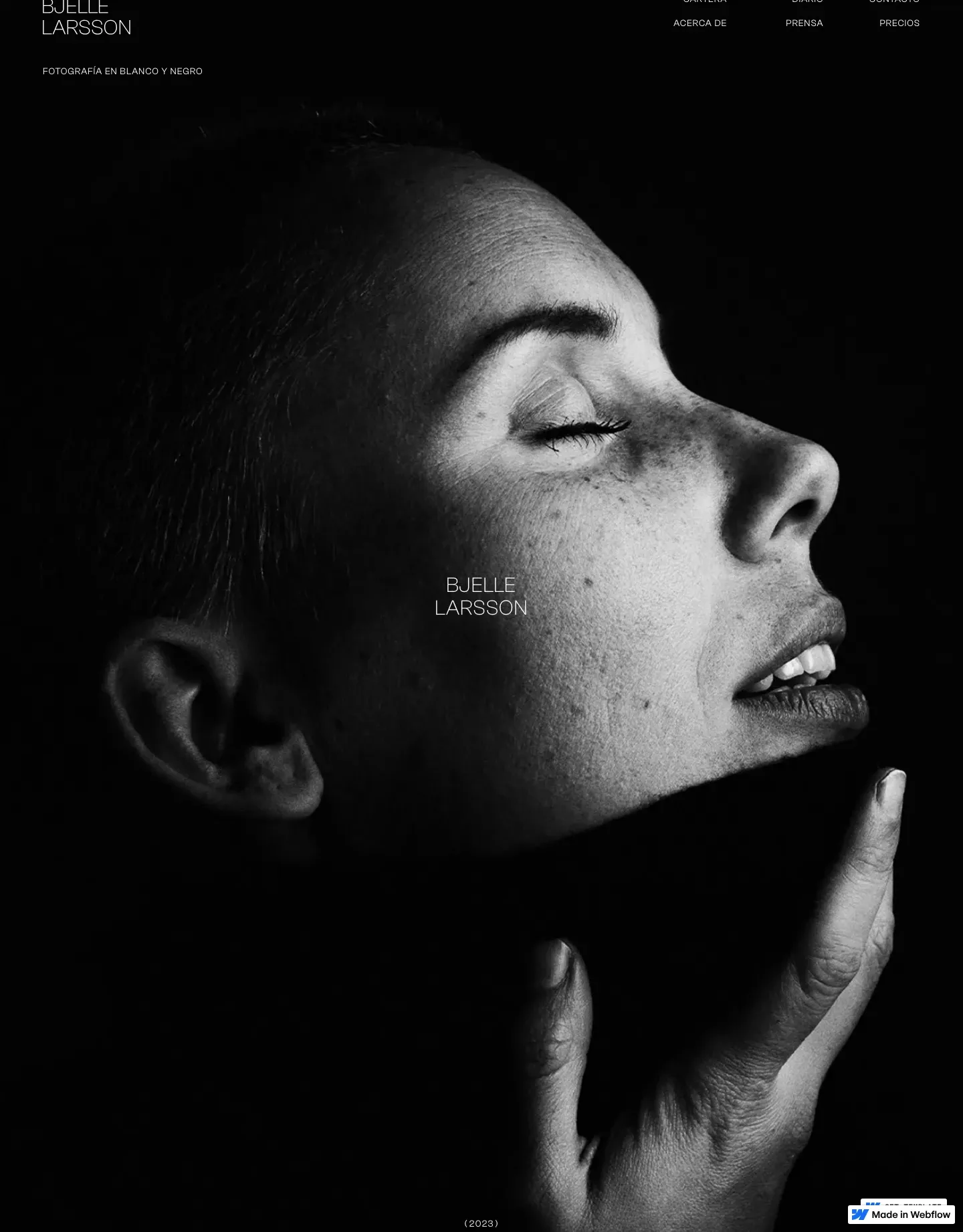 Diseño de página web para fotografía y eventos