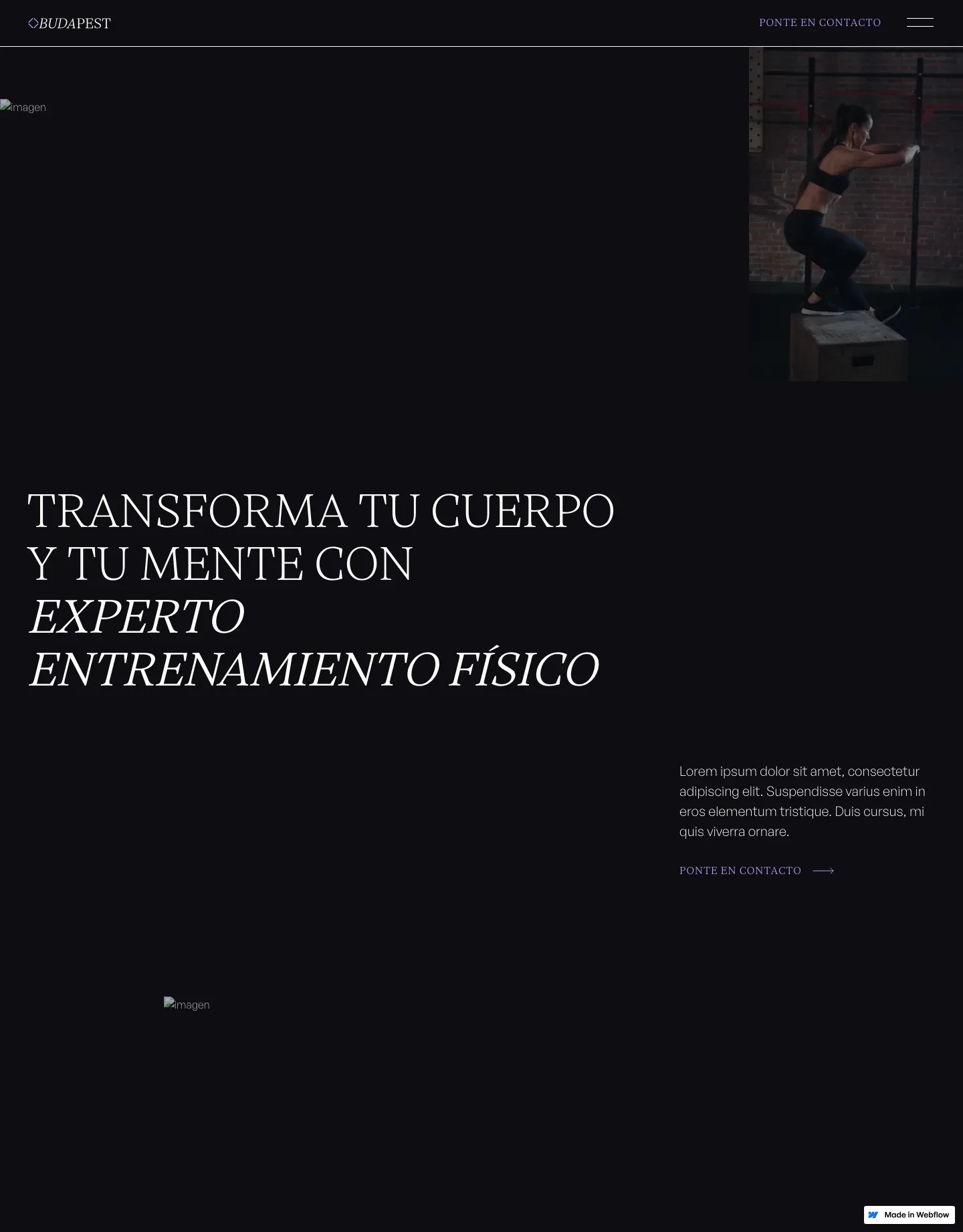 Diseño de página web para consultoría y coaching