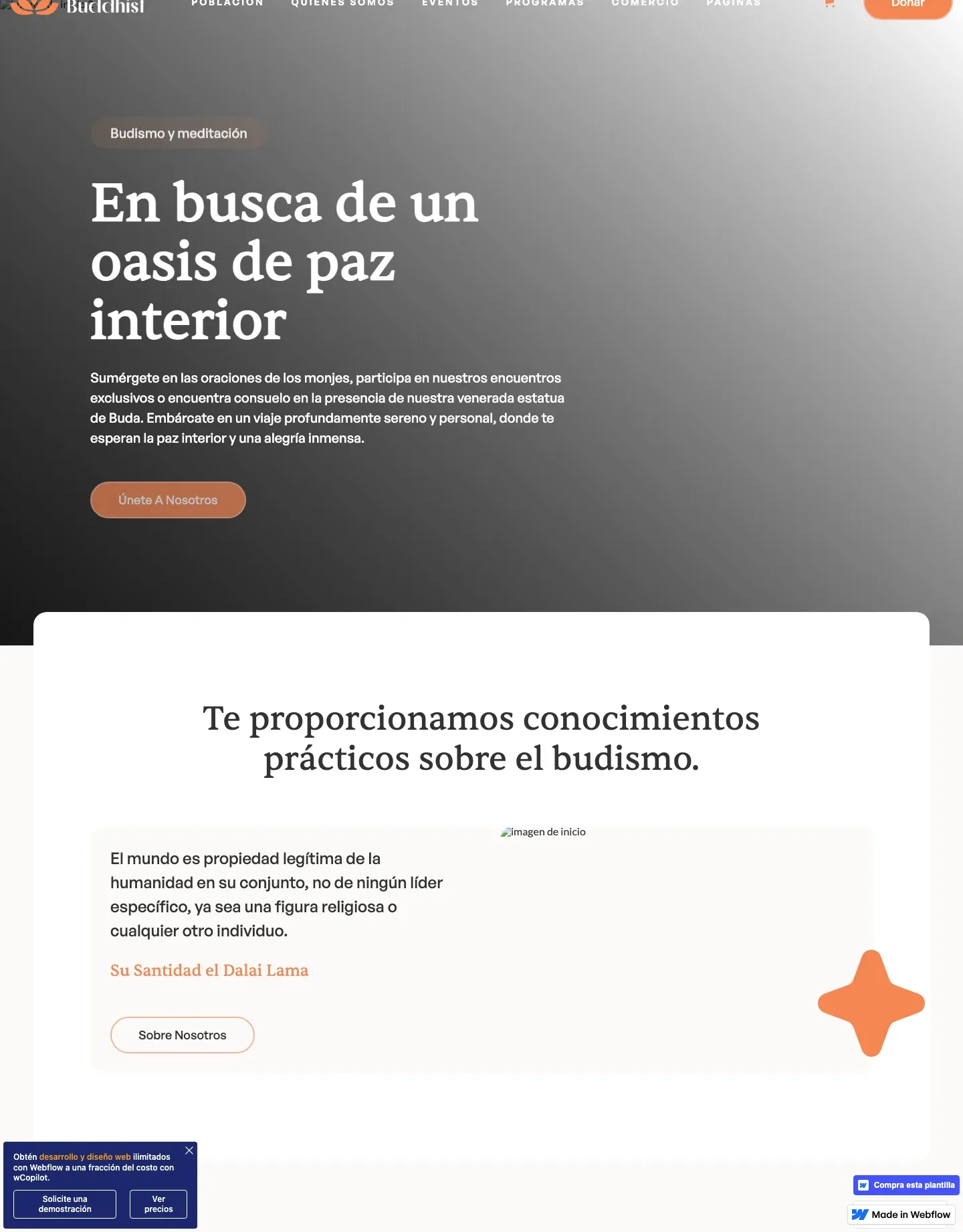 Diseño de página web para salud y bienestar
