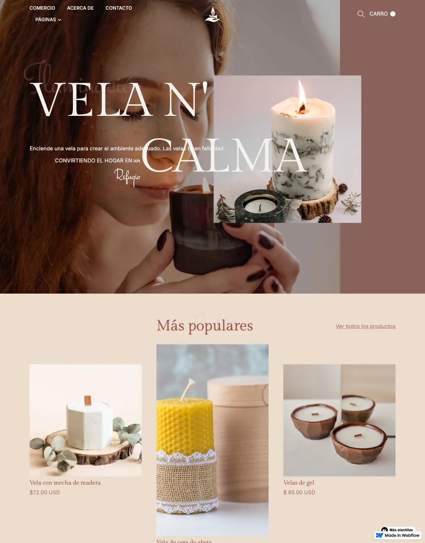 Diseño de página web para tienda en línea