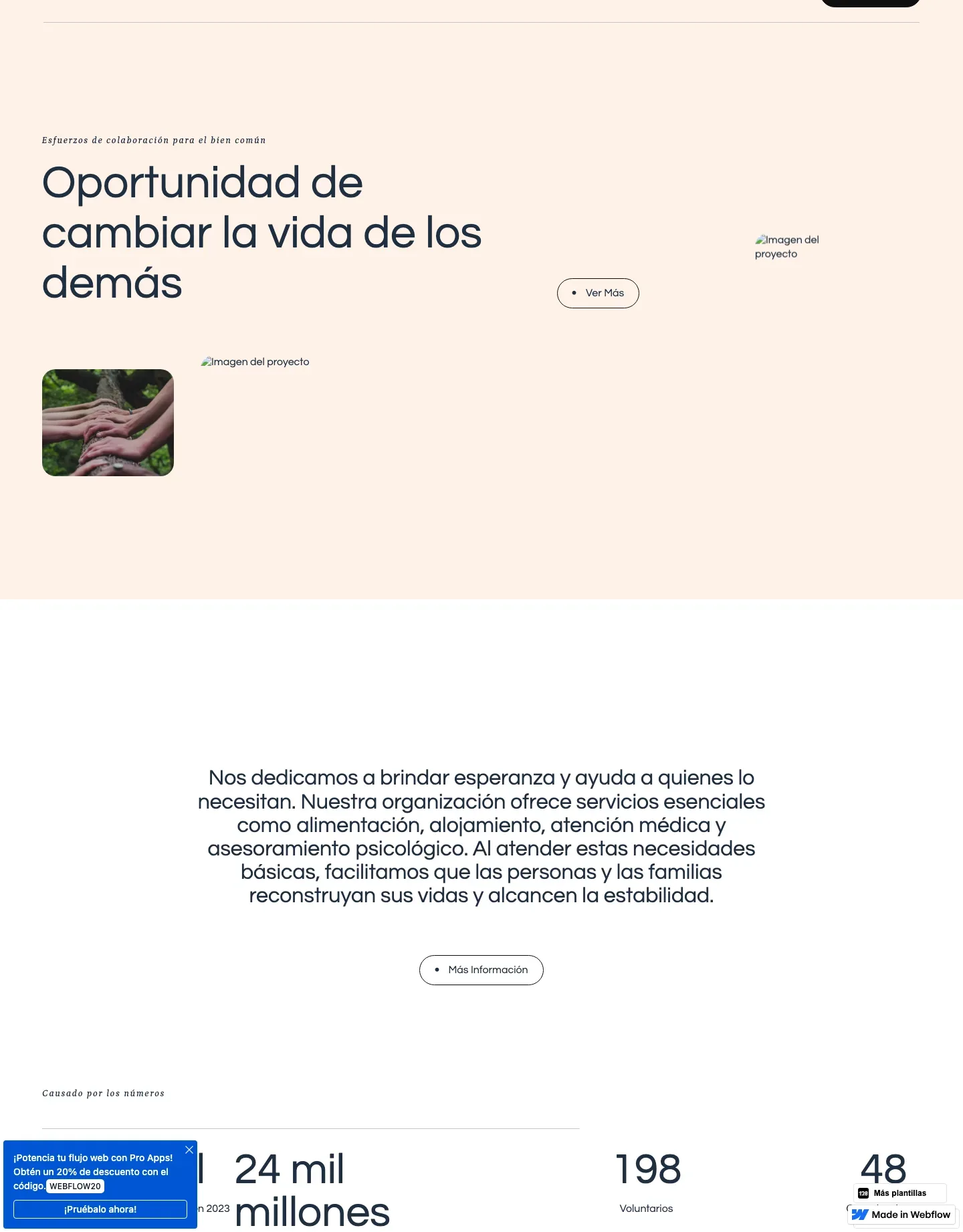 Diseño de página web para ong e iglesias