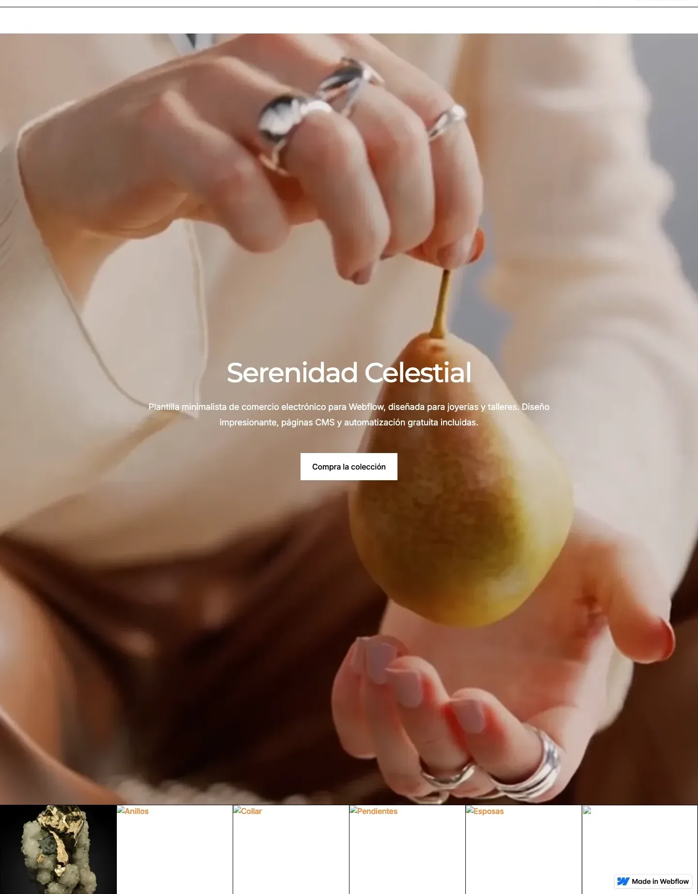 Diseño de página web para tienda en línea