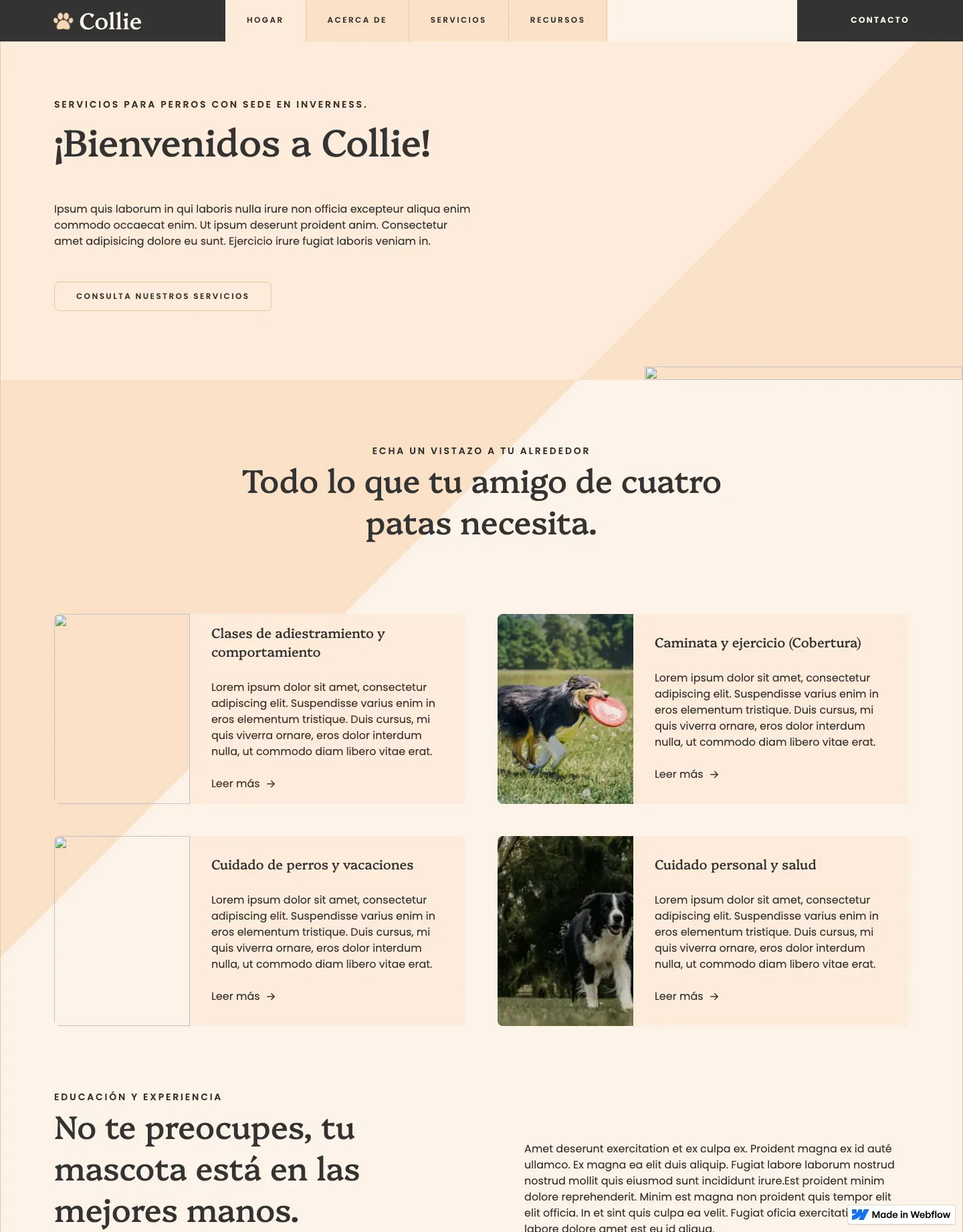 Diseño de página web para veterinarias