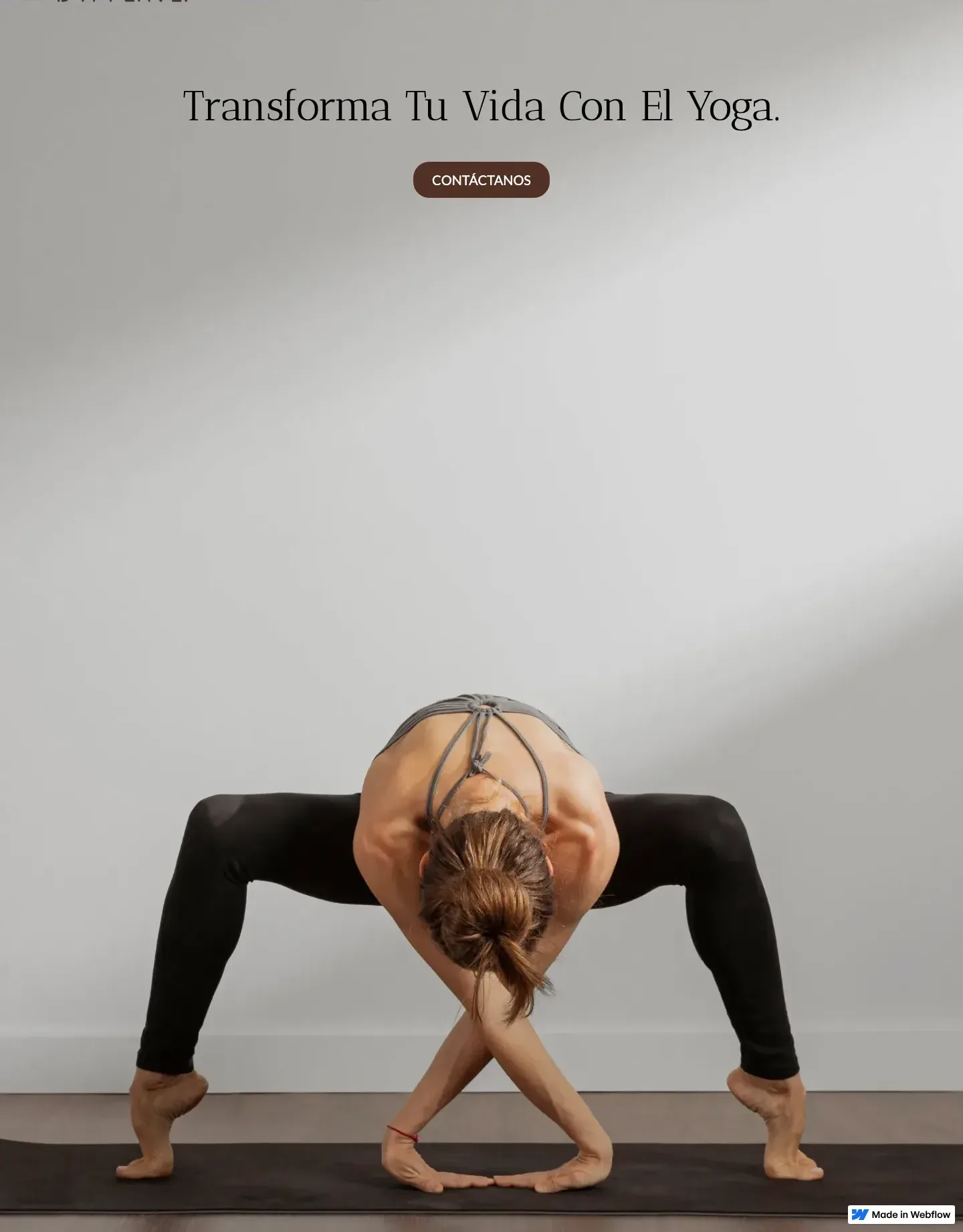 Diseño de página web para gimnasios
