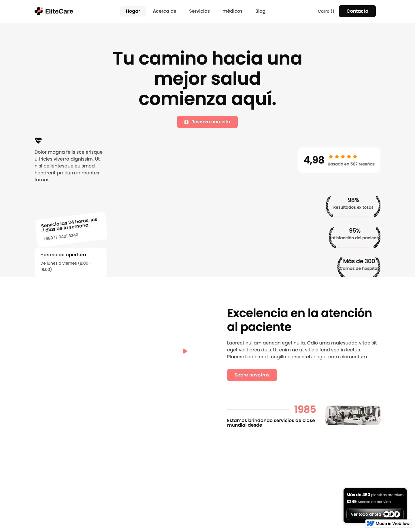 Diseño de página web para salud y bienestar