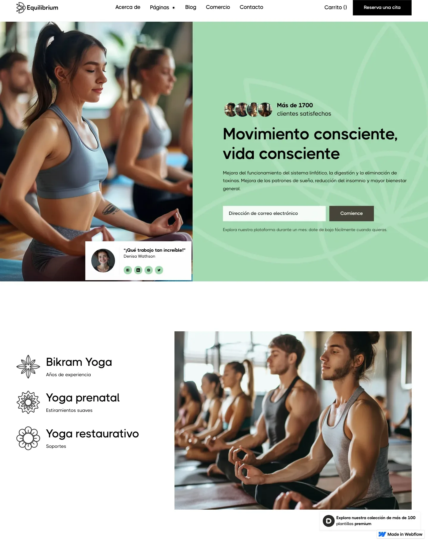 Diseño de página web para salud y bienestar