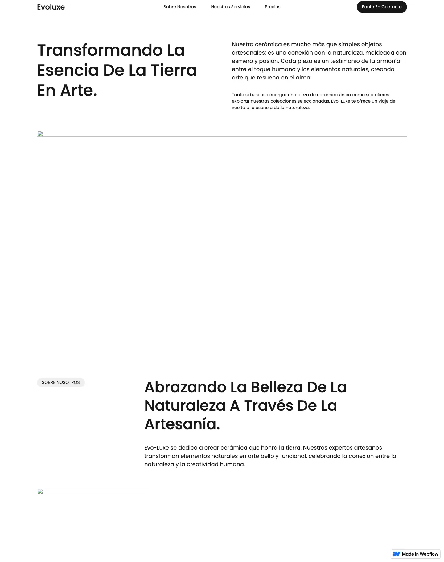 Diseño de página web para landing pages