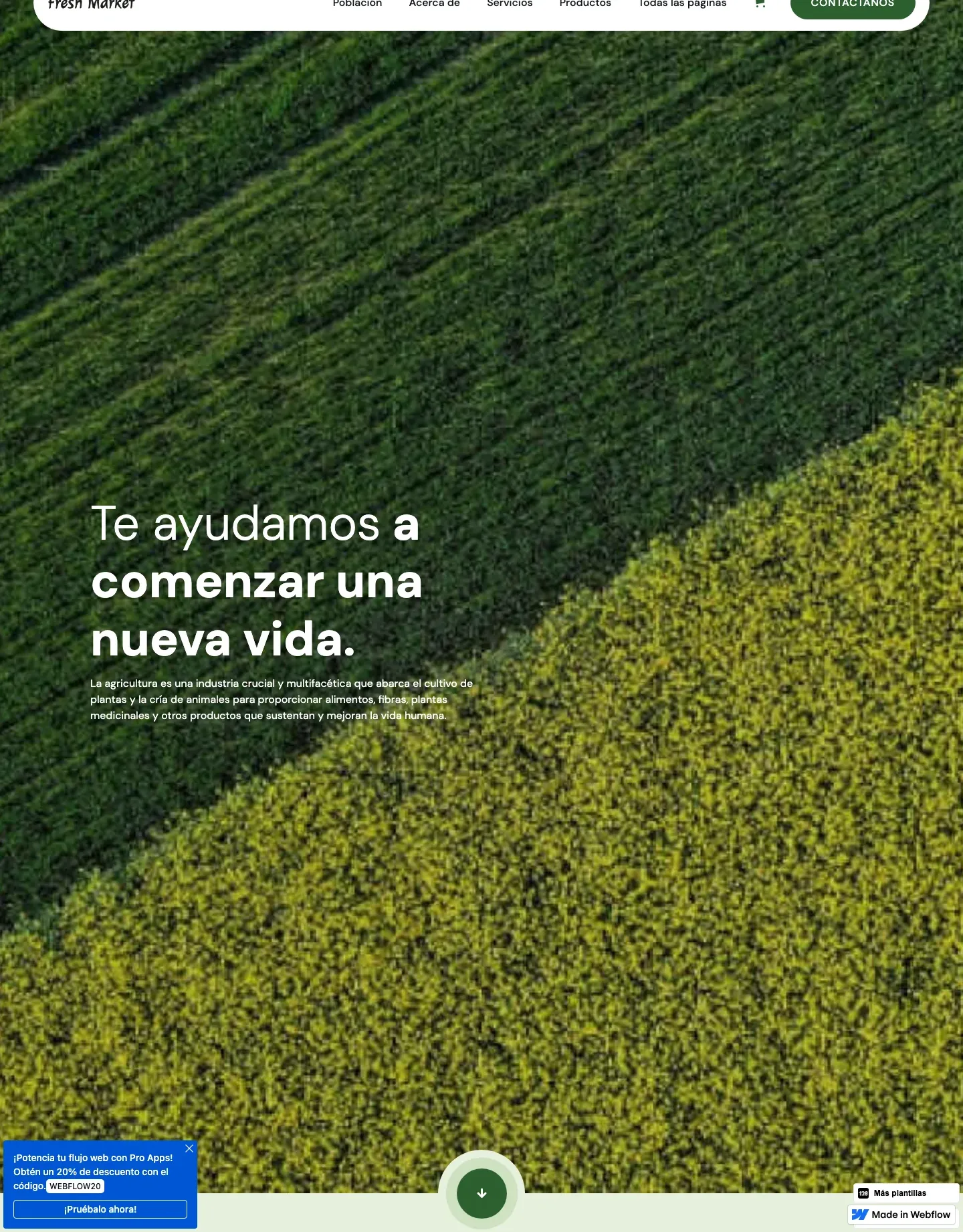 Diseño de página web para tienda en línea
