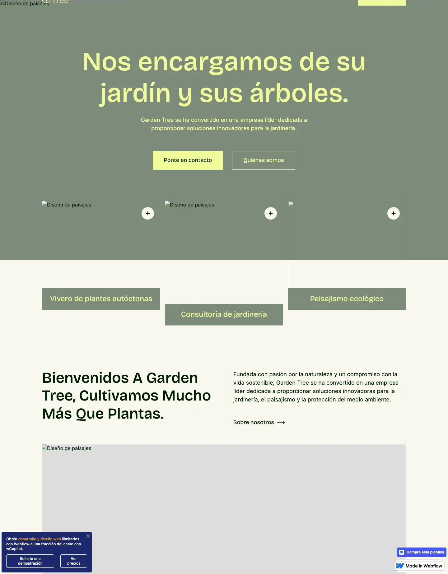 Diseño de página web para fotografía y eventos