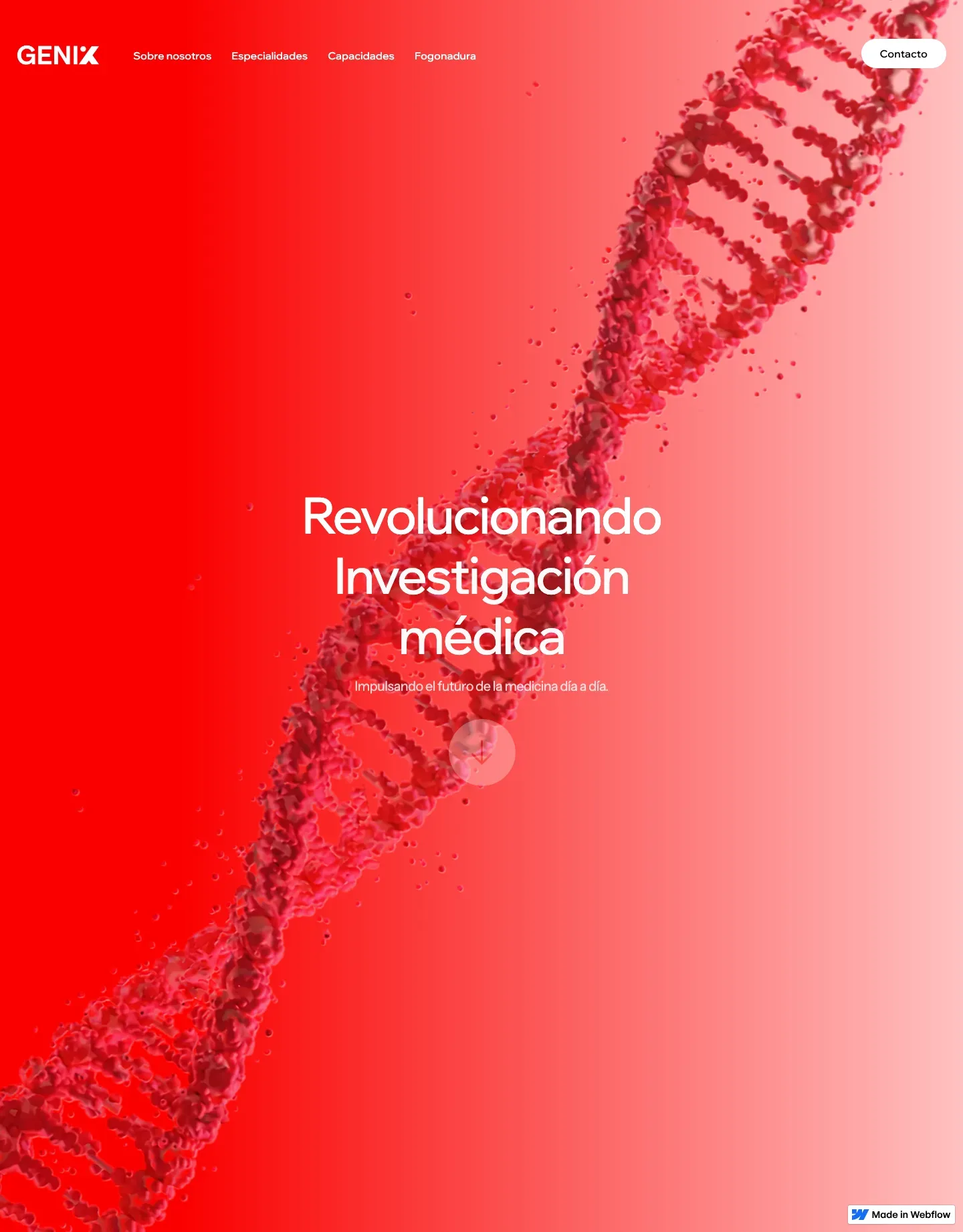Diseño de página web para salud y bienestar