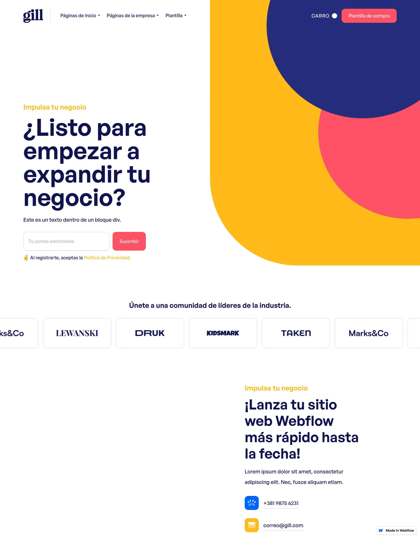 Diseño de página web para landing pages