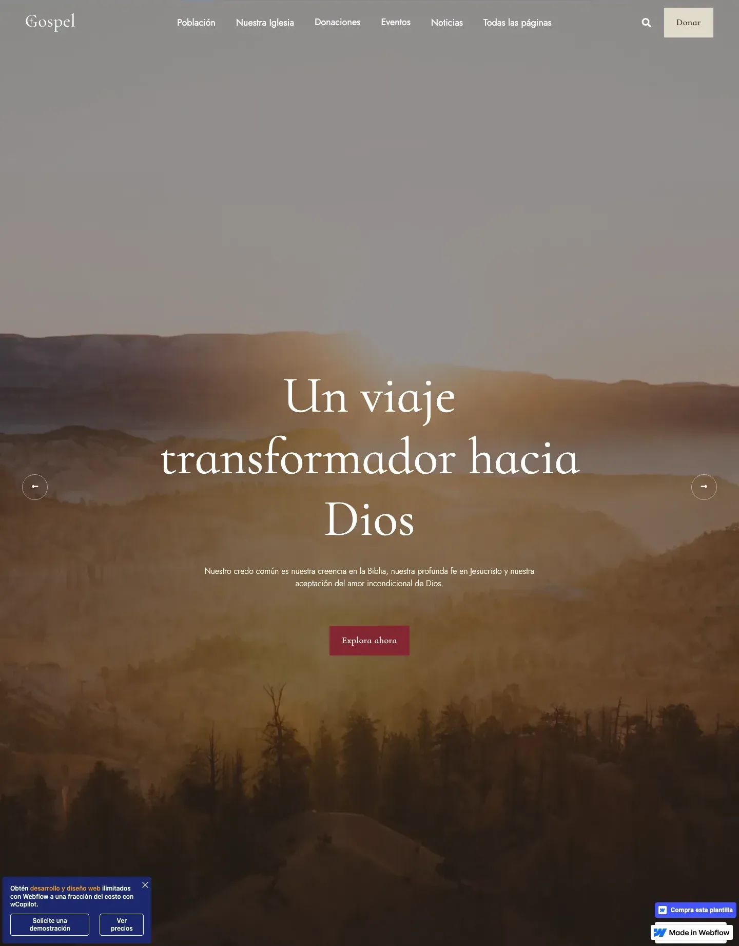 Diseño de página web para ong e iglesias