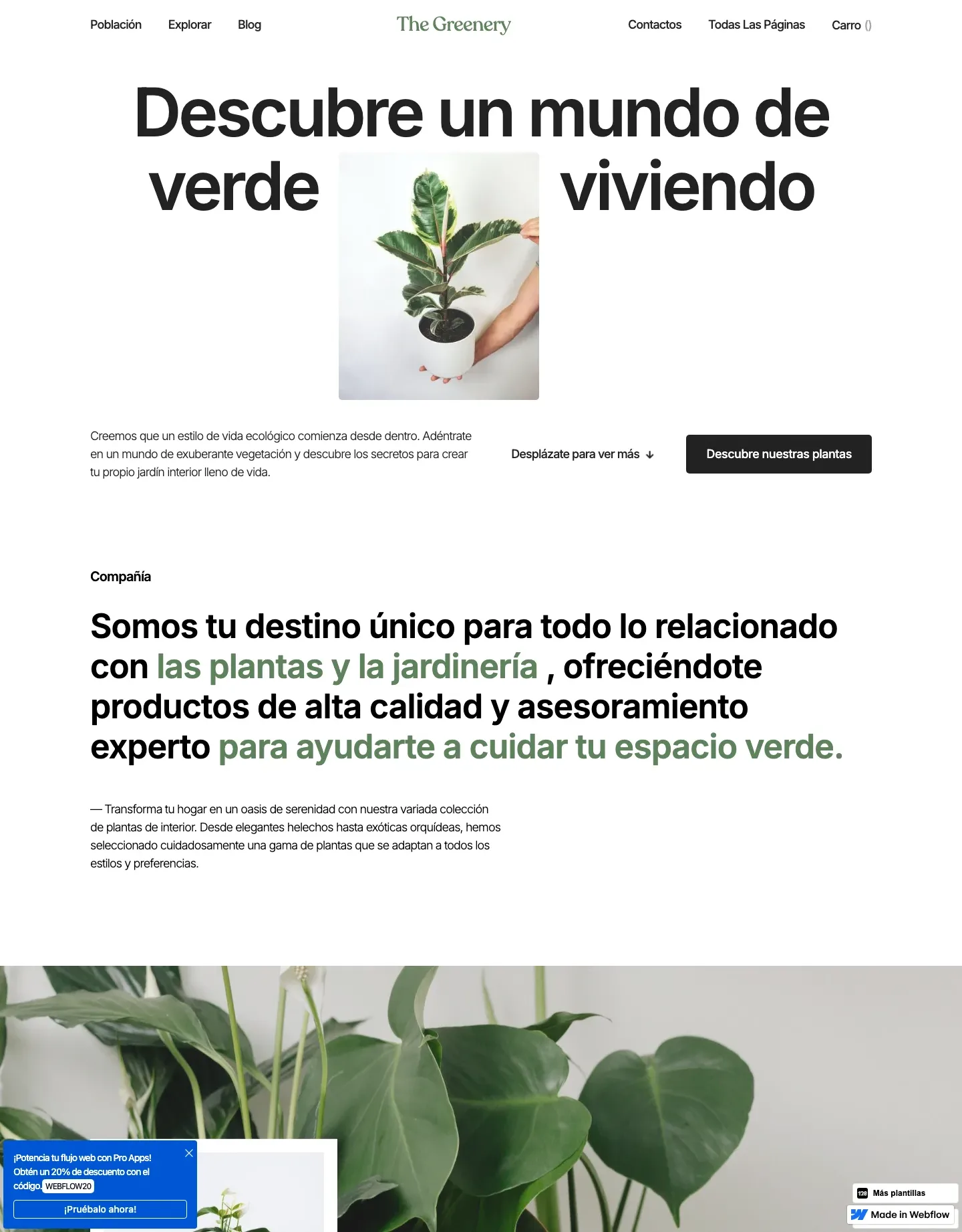 Diseño de página web para fotografía y eventos
