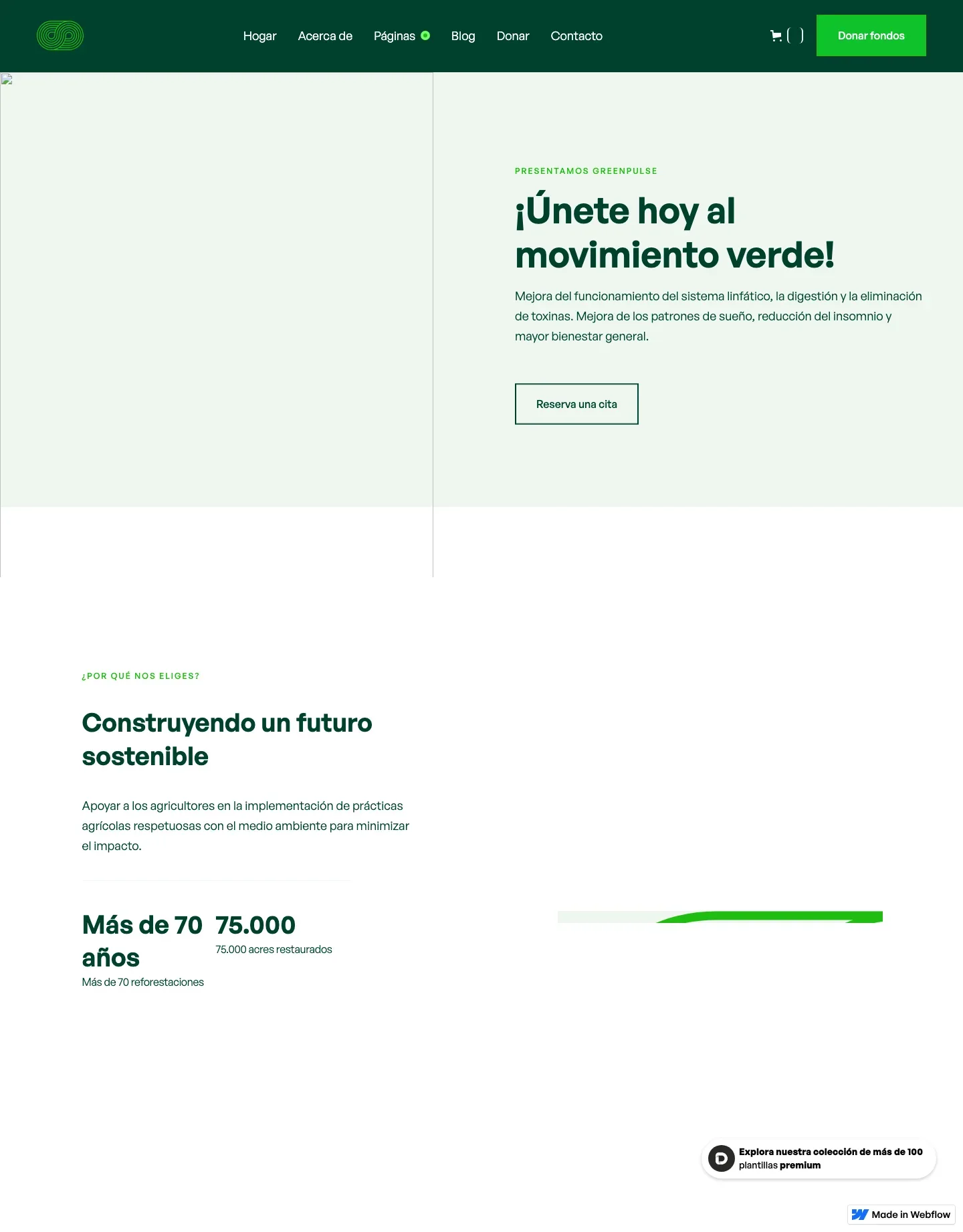 Diseño de página web para ong e iglesias