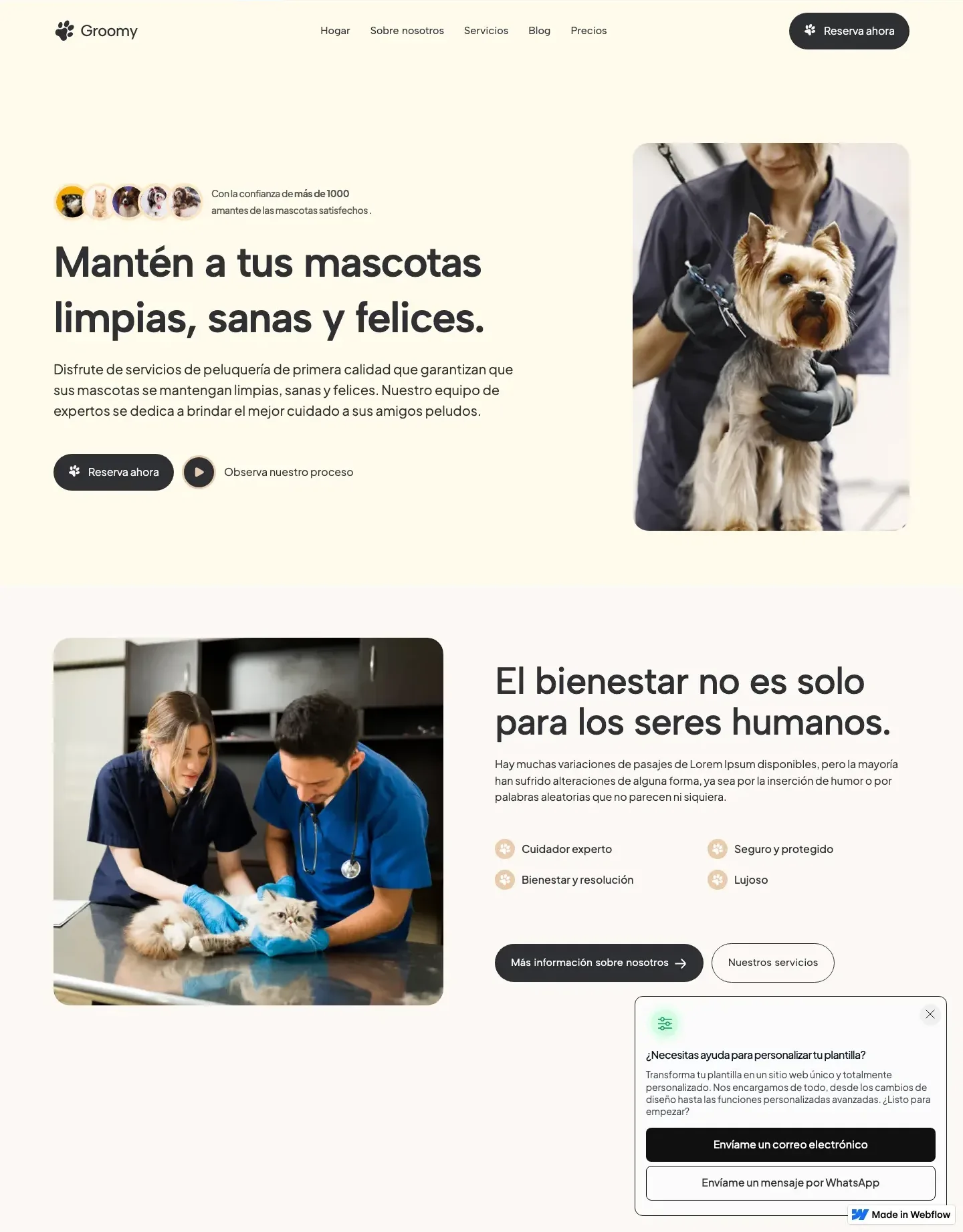 Diseño de página web para veterinarias