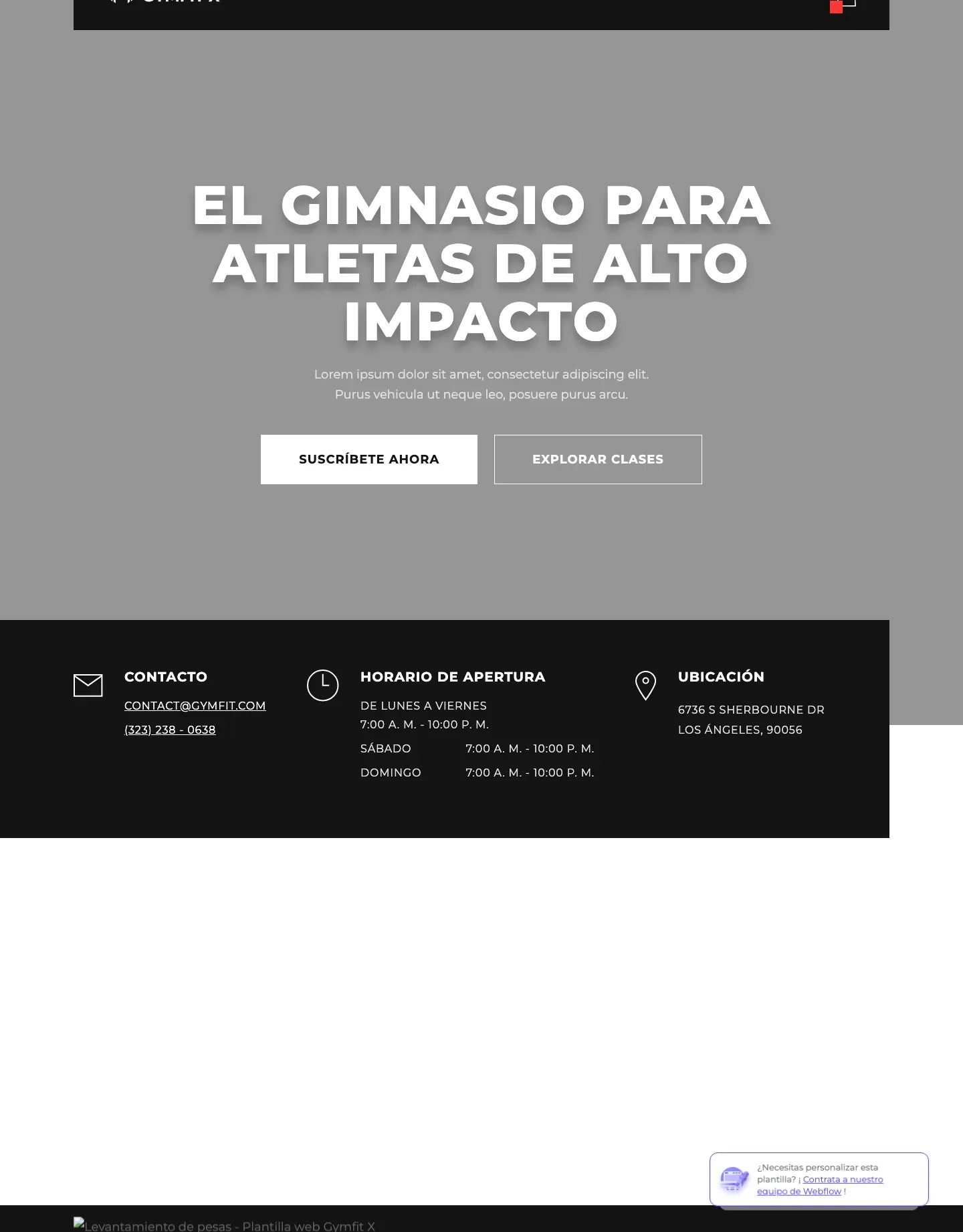 Diseño de página web para gimnasios