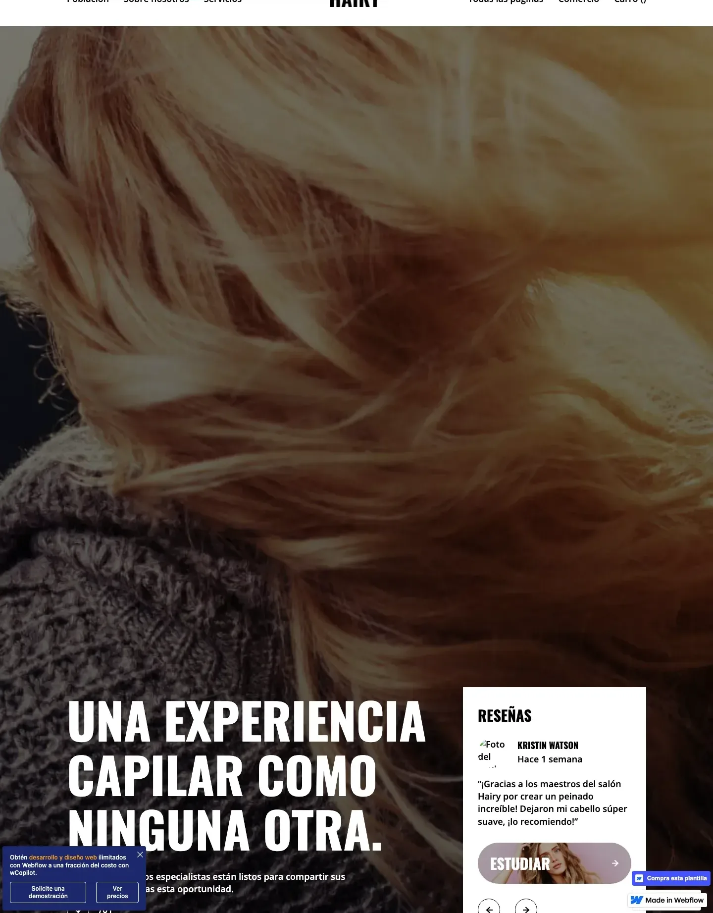 Diseño de página web para belleza y estética