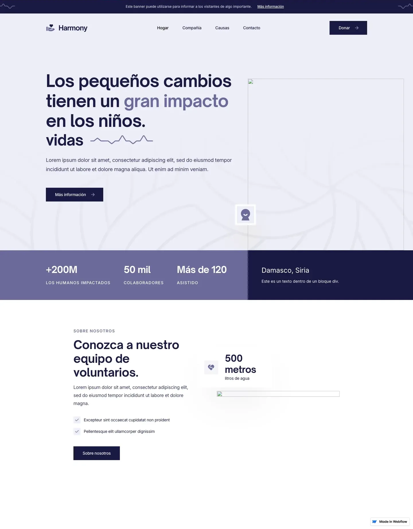 Diseño de página web para ong e iglesias