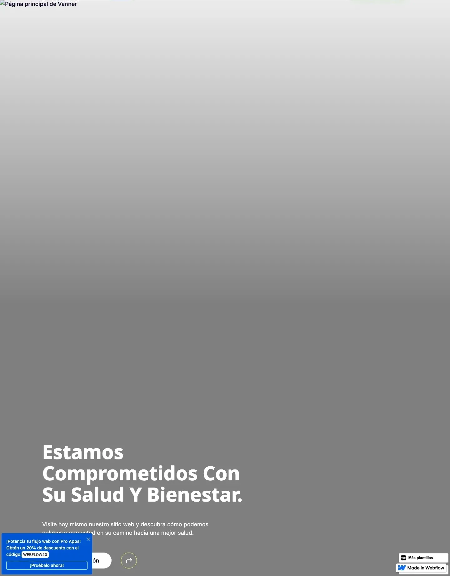 Diseño de página web para salud y bienestar