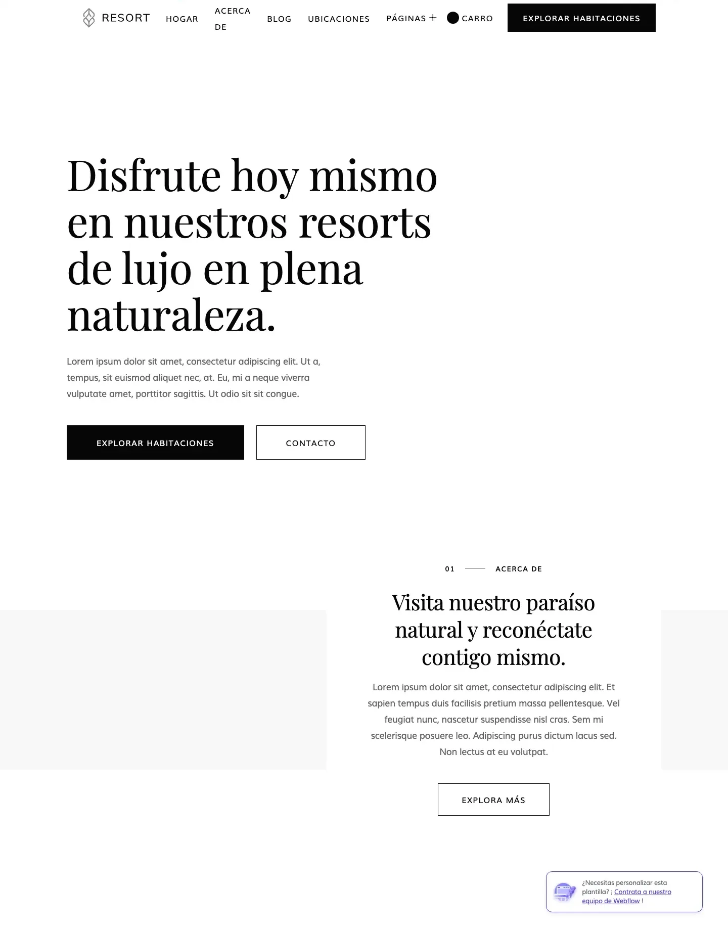 Diseño de página web para hoteles