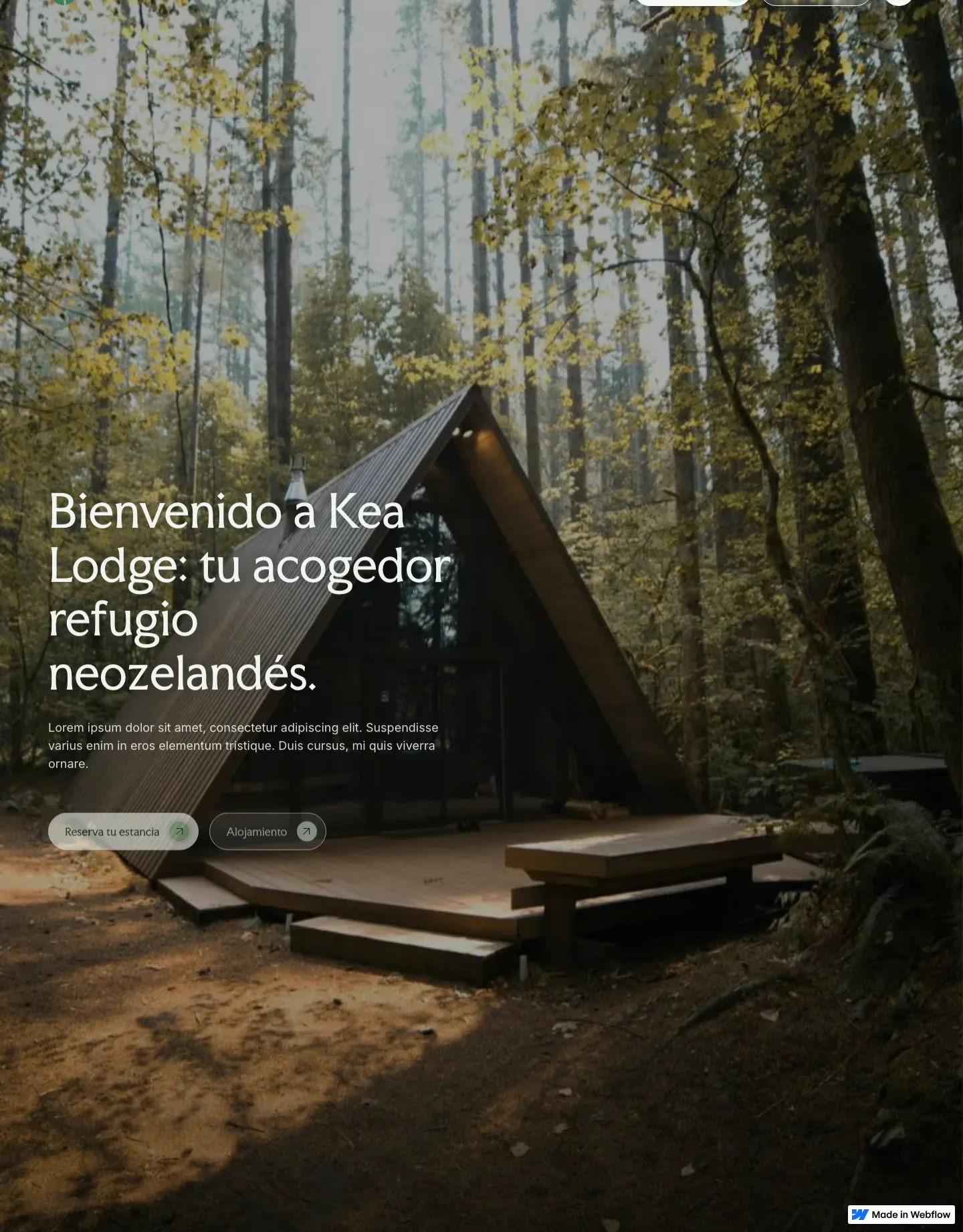 Diseño de página web para hoteles