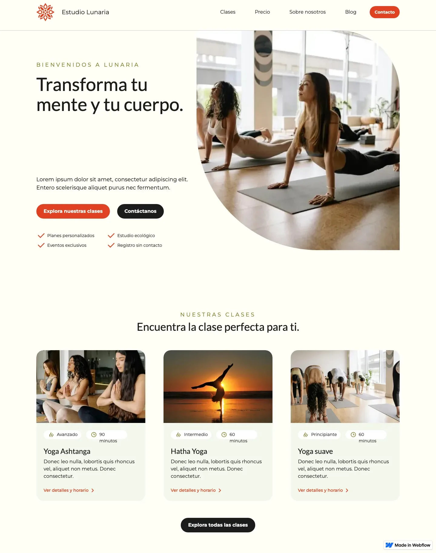 Diseño de página web para salud y bienestar