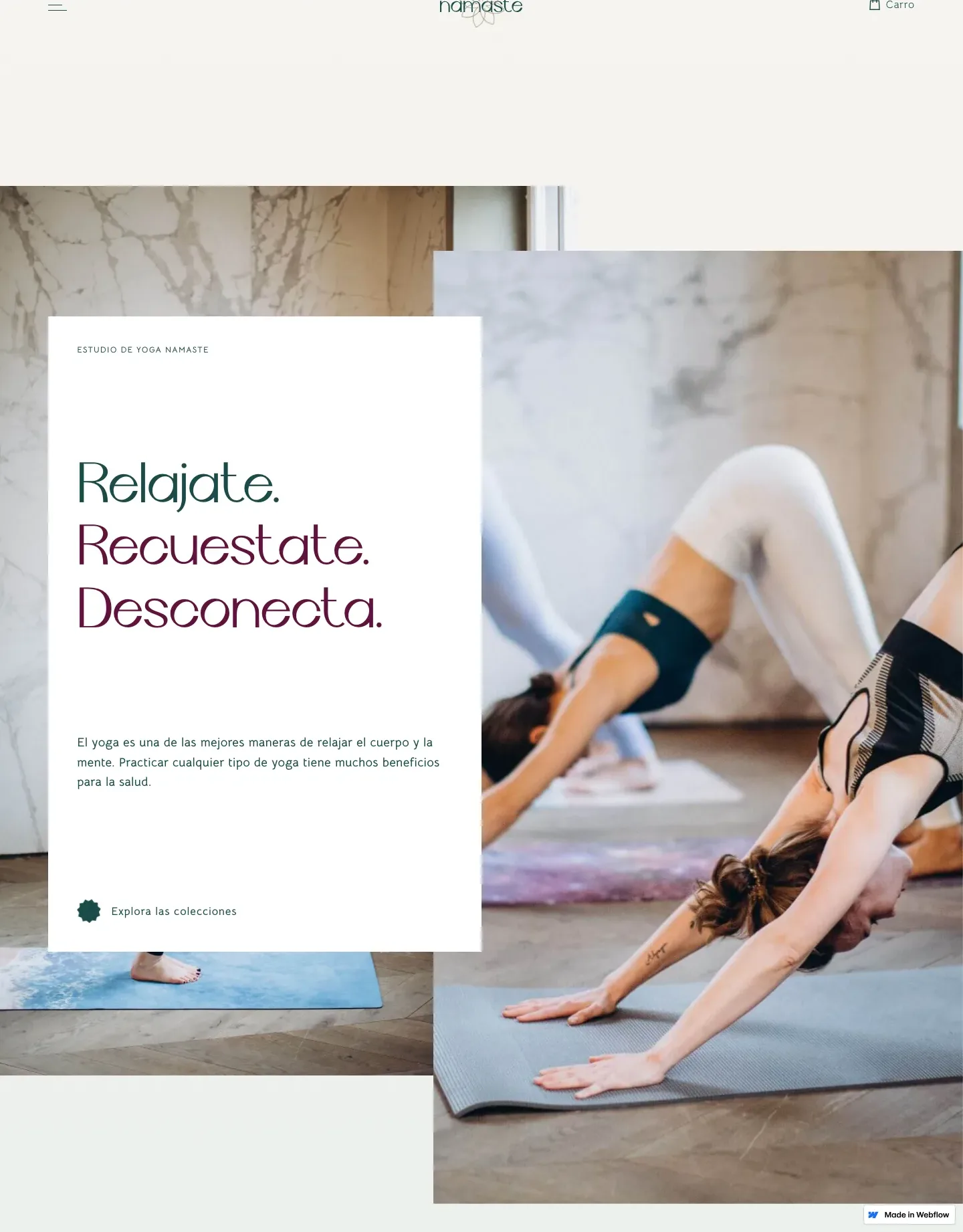 Diseño de página web para gimnasios