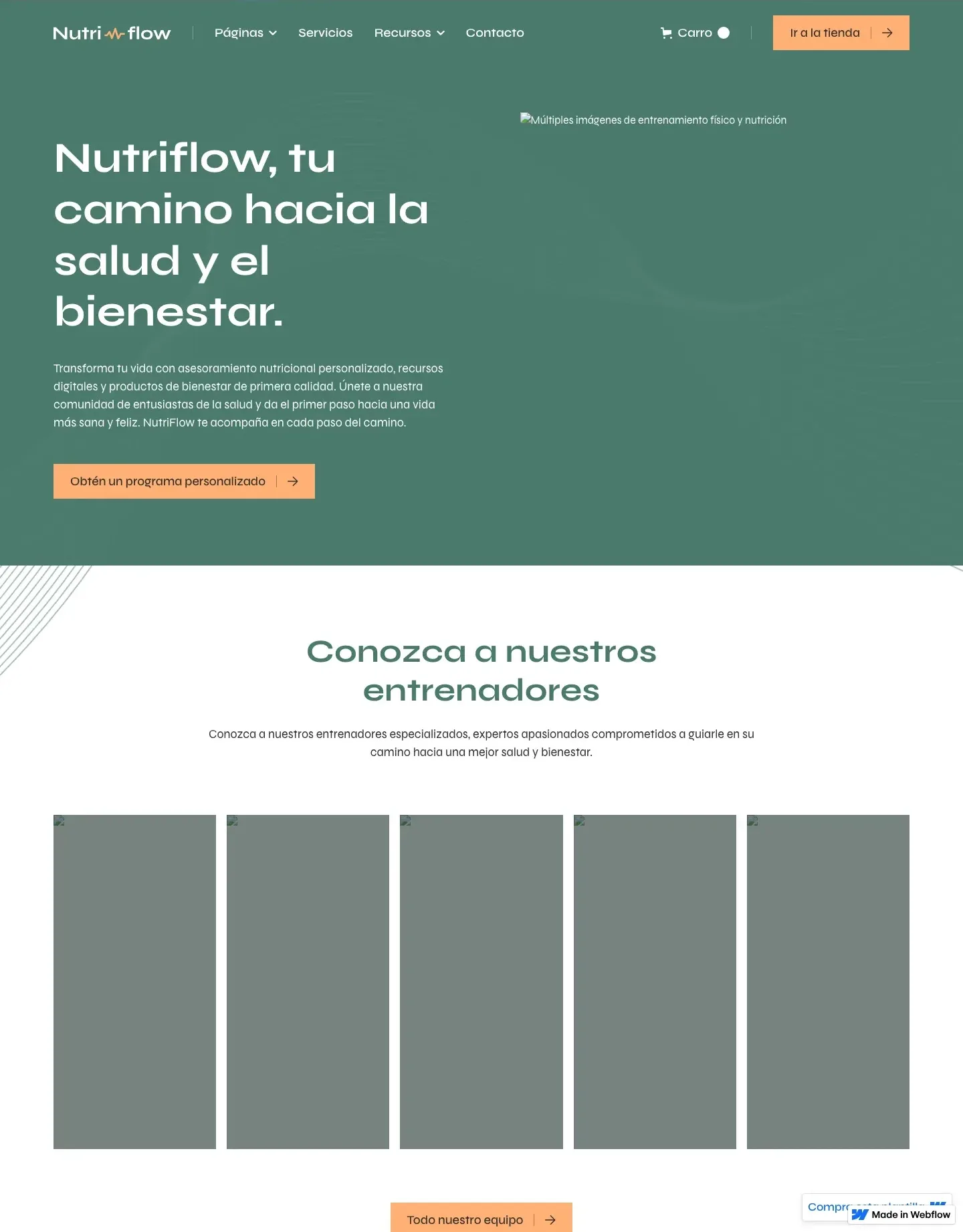 Diseño de página web para gimnasios