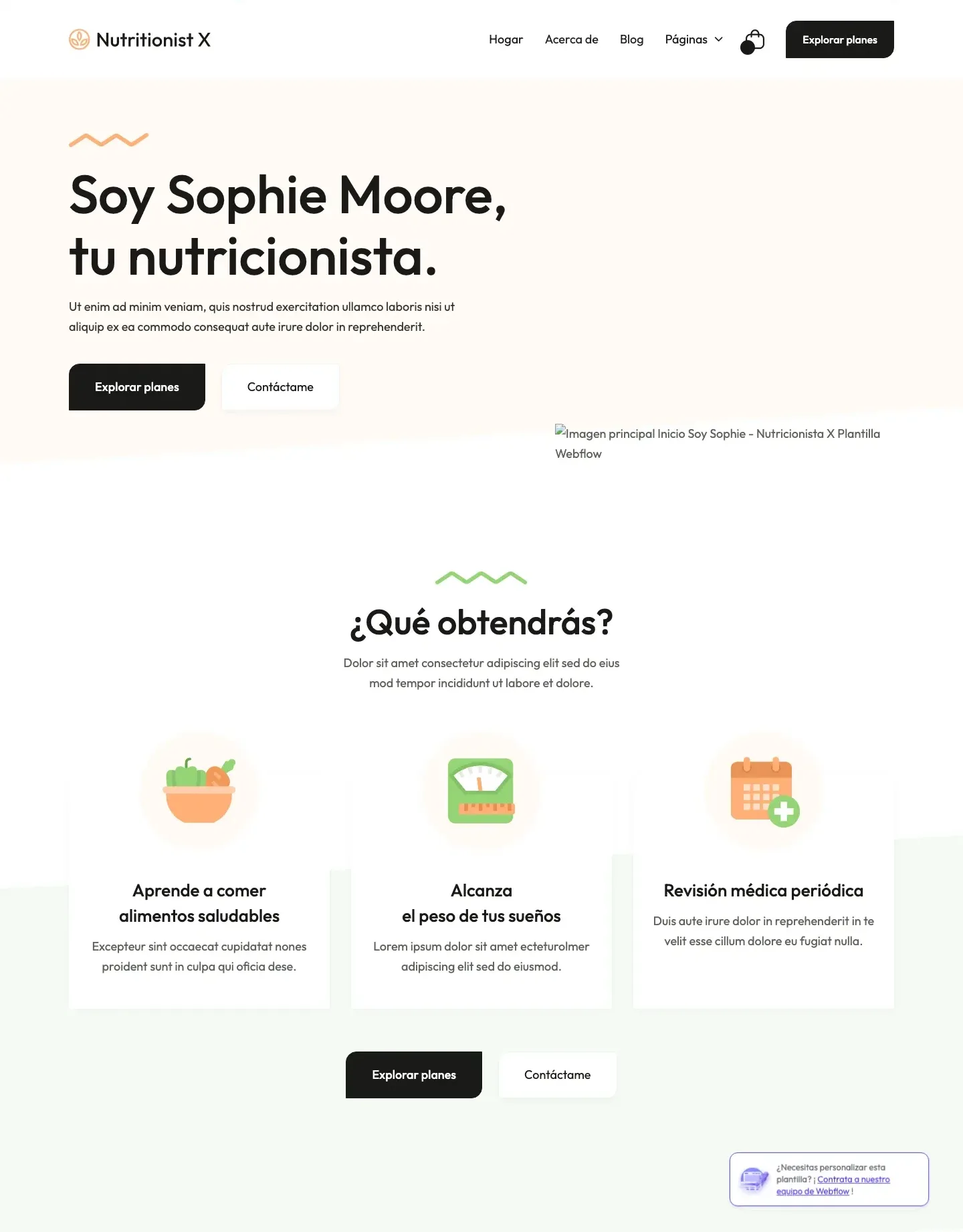 Diseño de página web para salud y bienestar