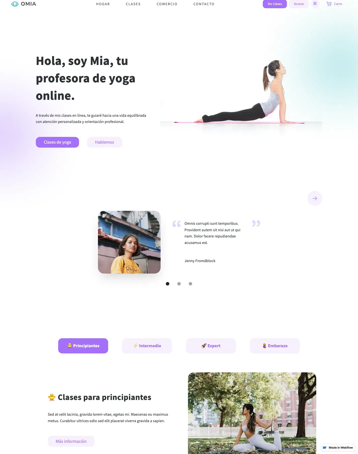 Diseño de página web para salud y bienestar