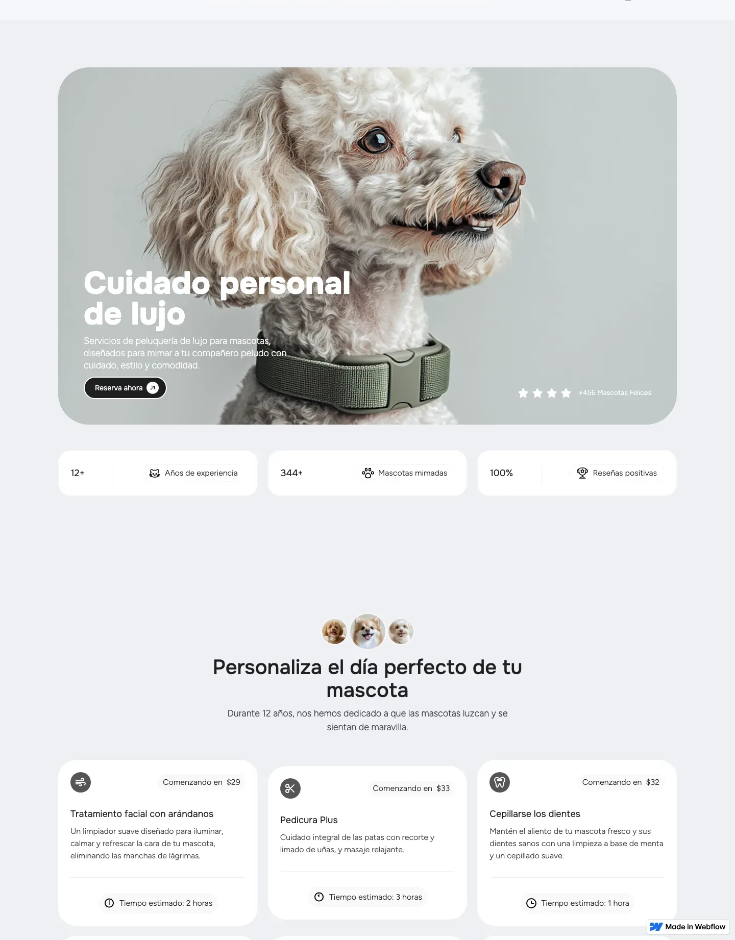 Diseño de página web para salud y bienestar