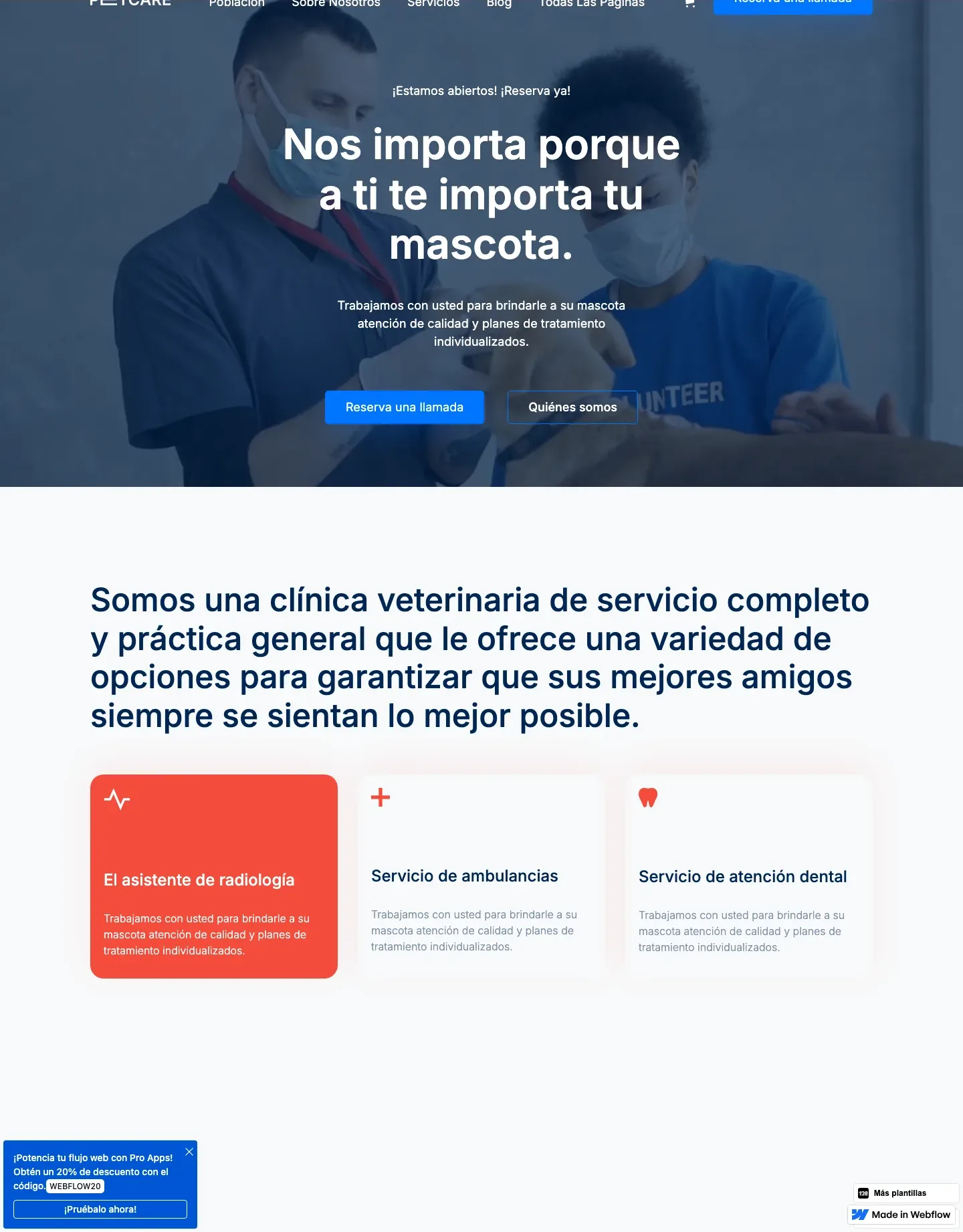 Diseño de página web para veterinarias