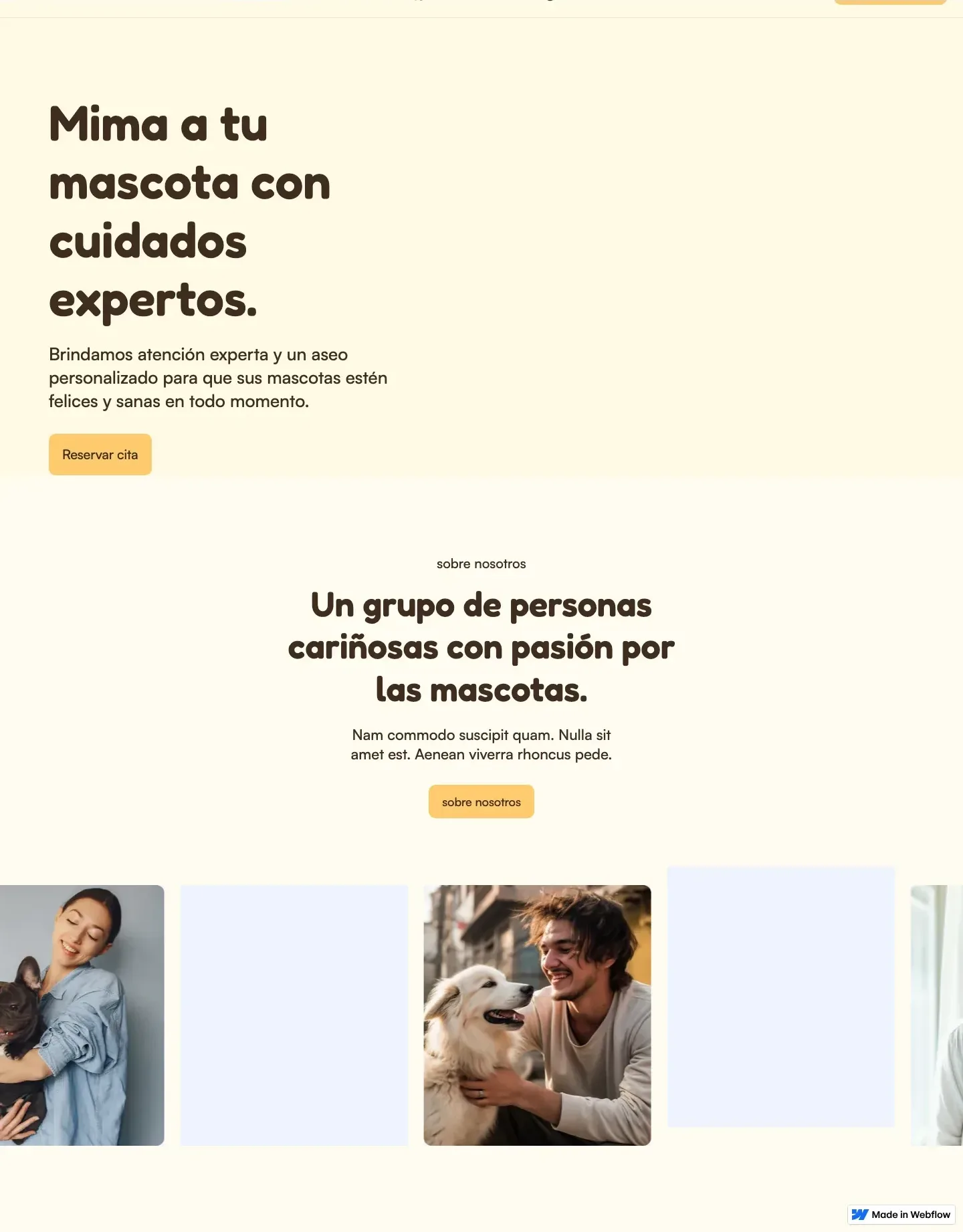 Diseño de página web para veterinarias