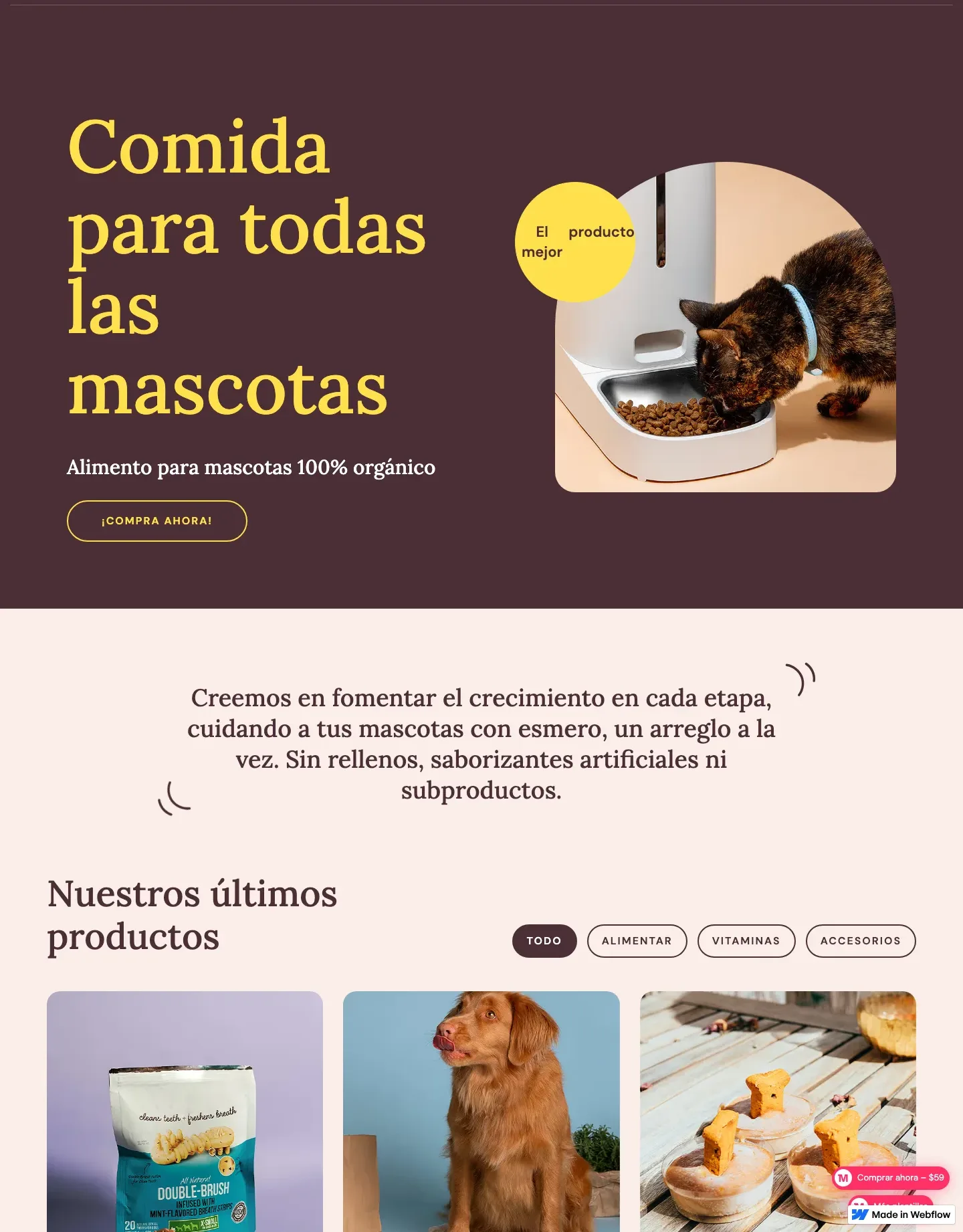 Diseño de página web para veterinarias