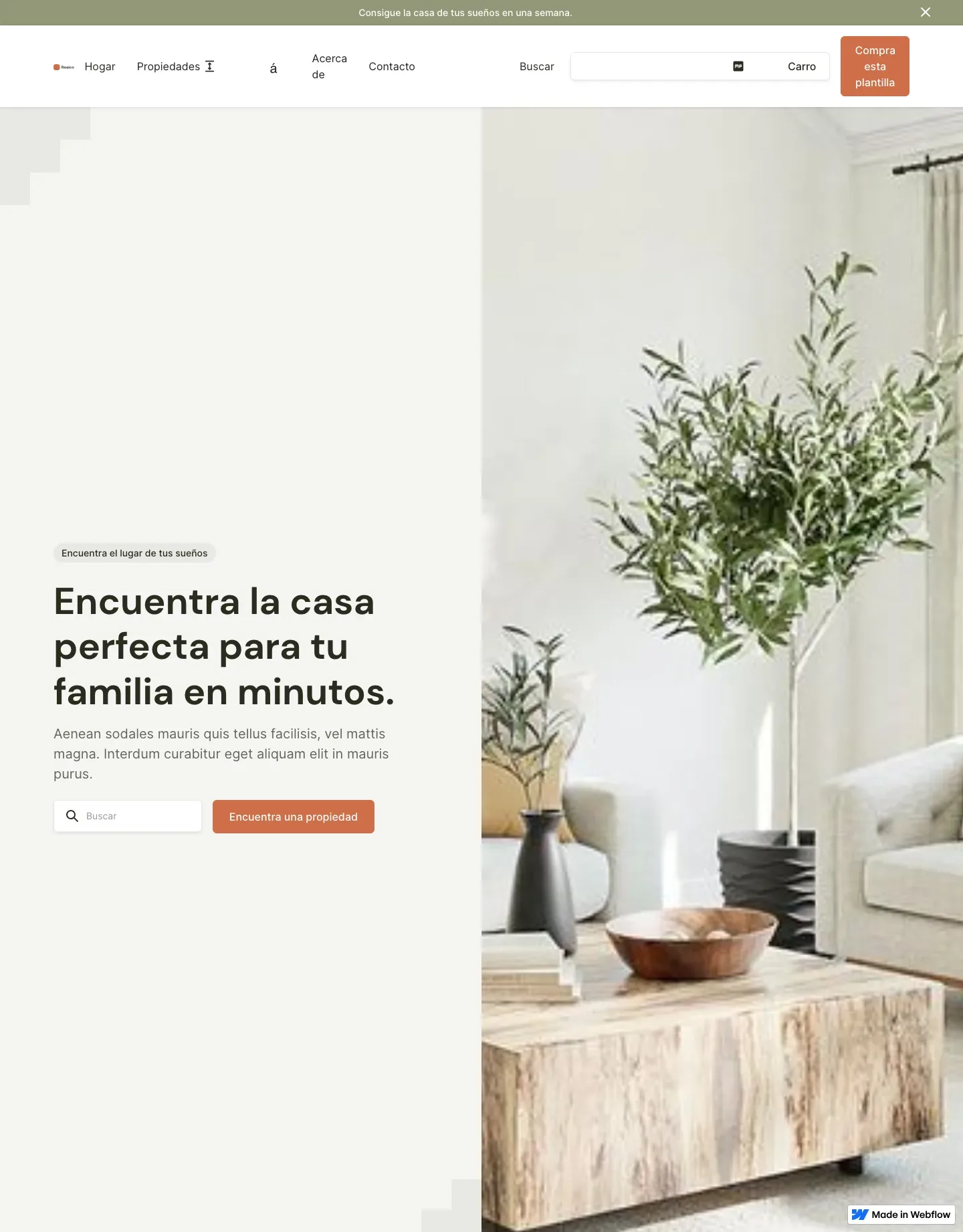 Diseño de página web para inmobiliarias
