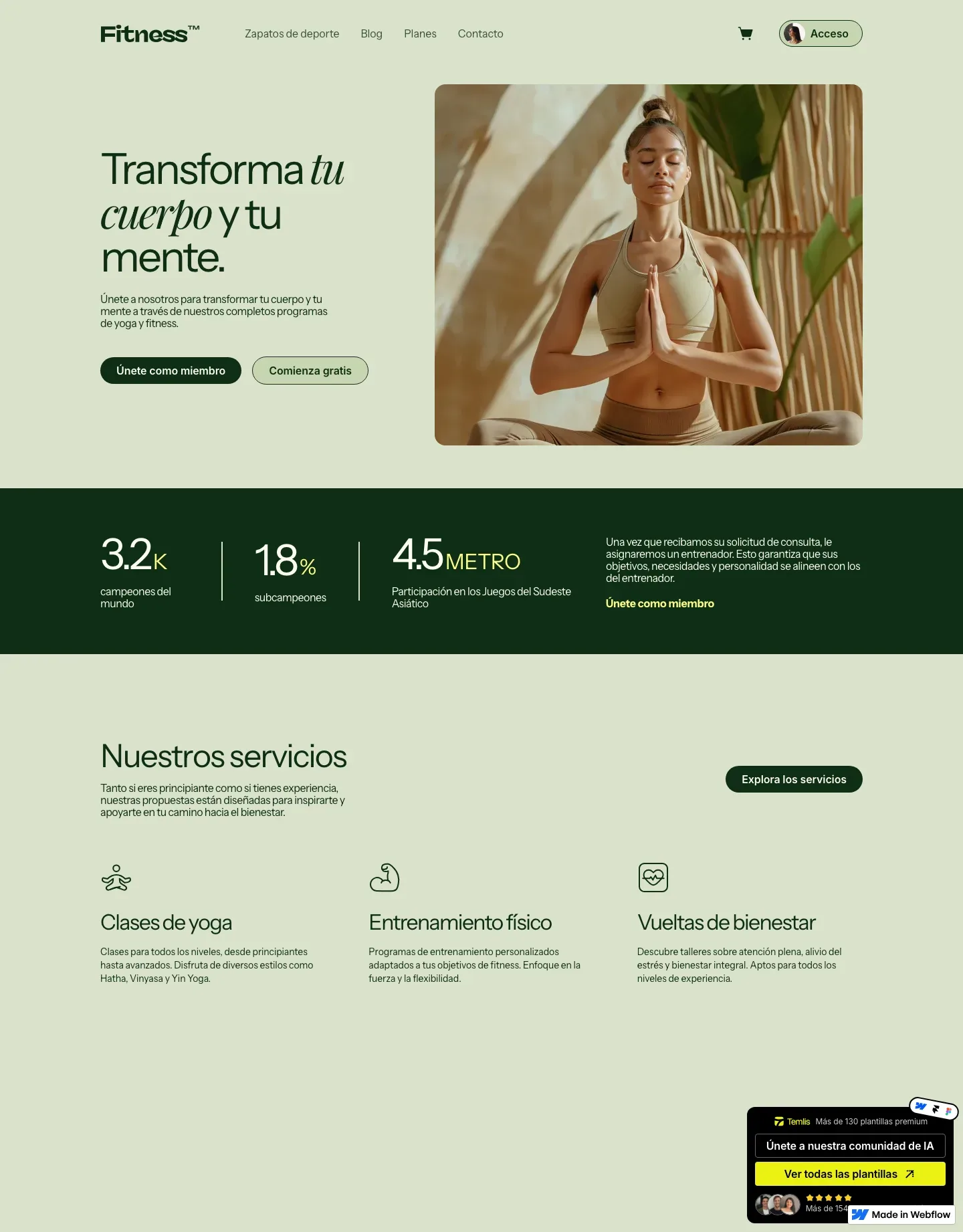 Diseño de página web para salud y bienestar