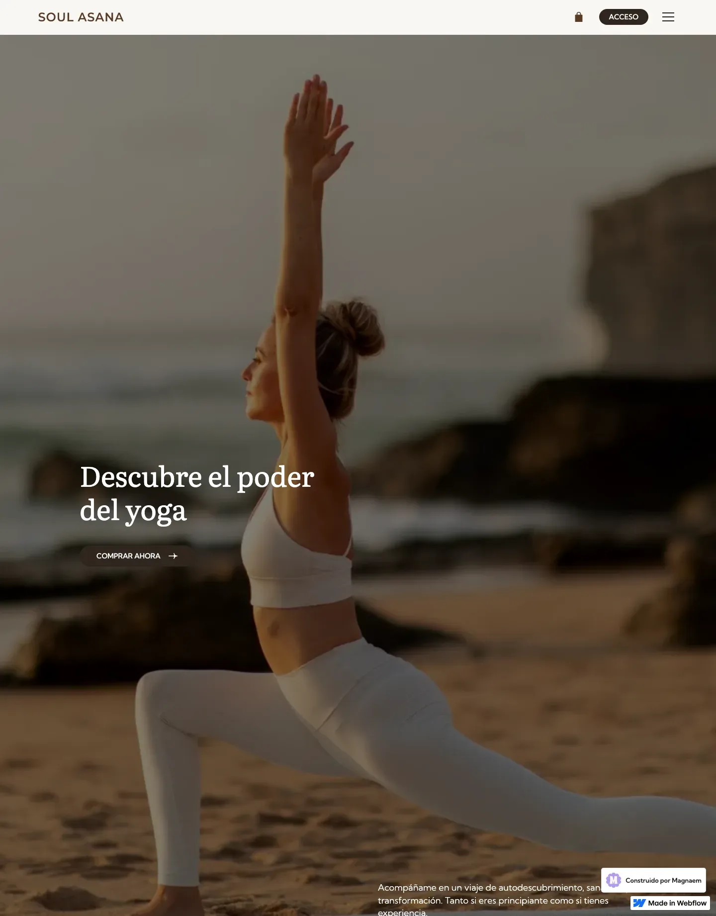 Diseño de página web para gimnasios