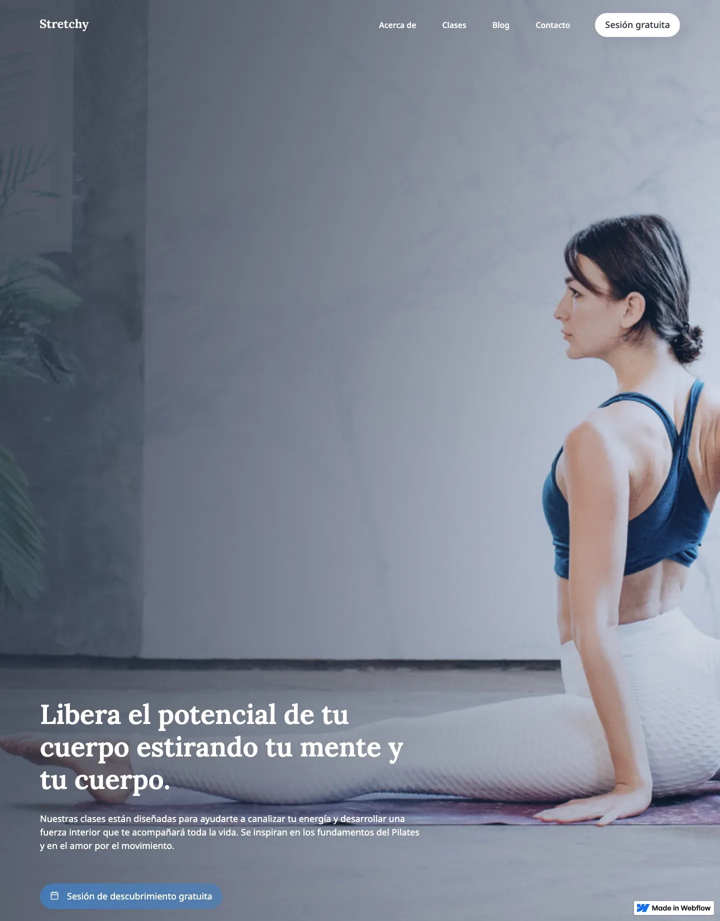 Diseño de página web para gimnasios