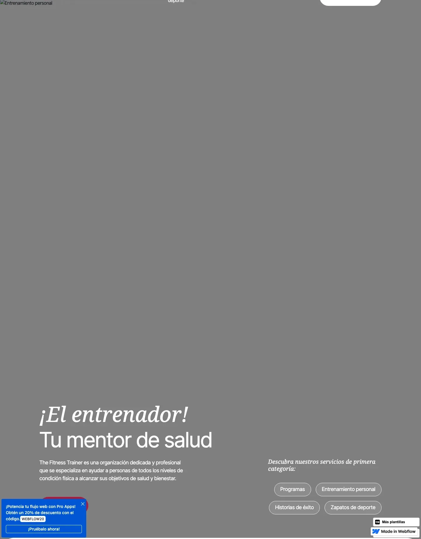 Diseño de página web para gimnasios