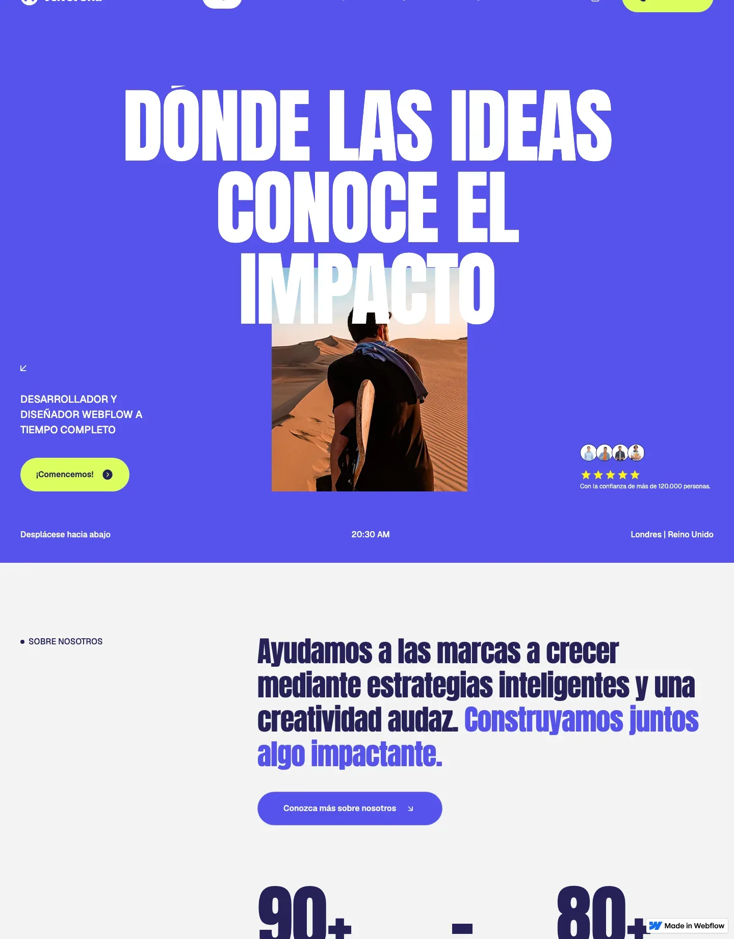Diseño de página web para veterinarias