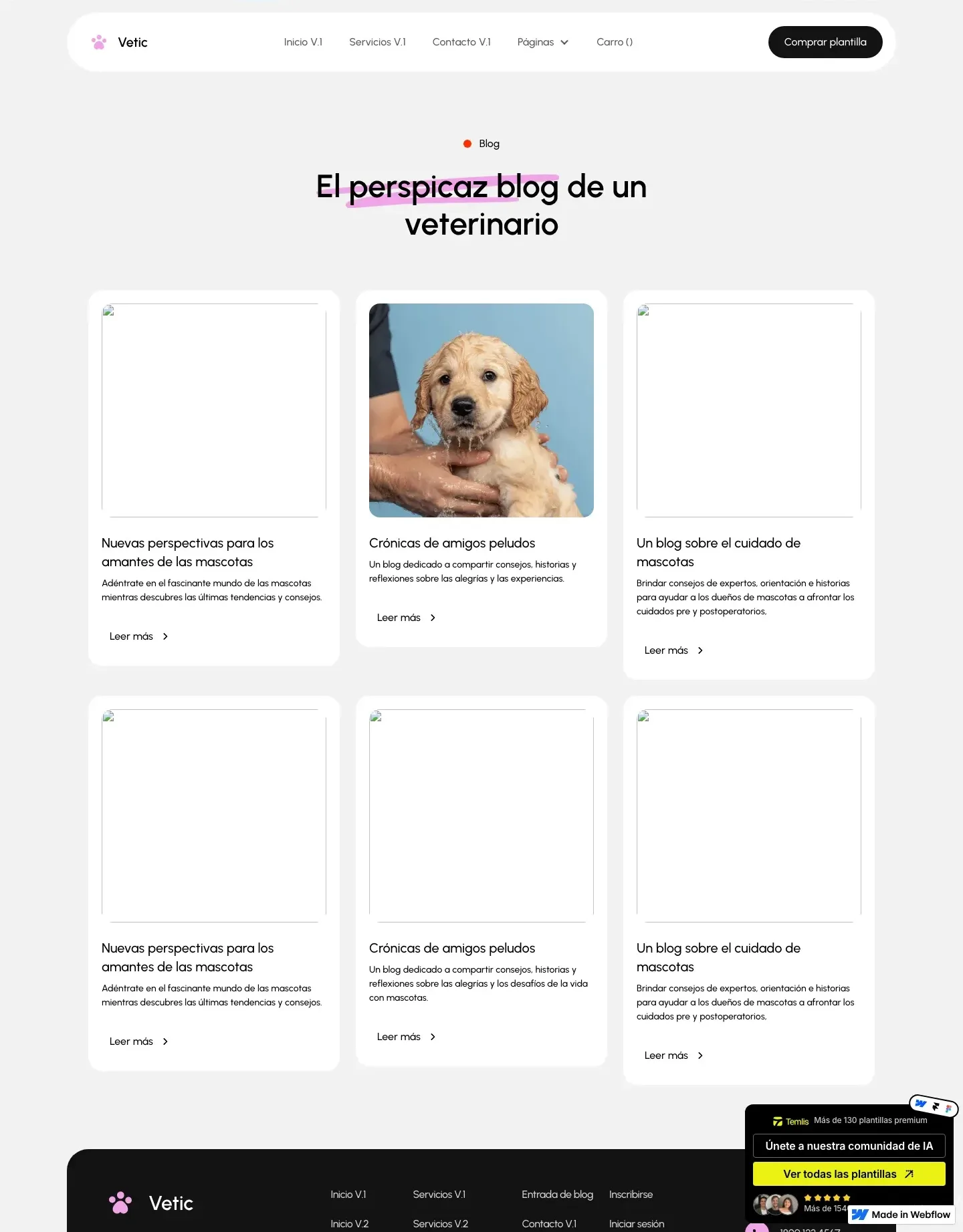 Diseño de página web para veterinarias