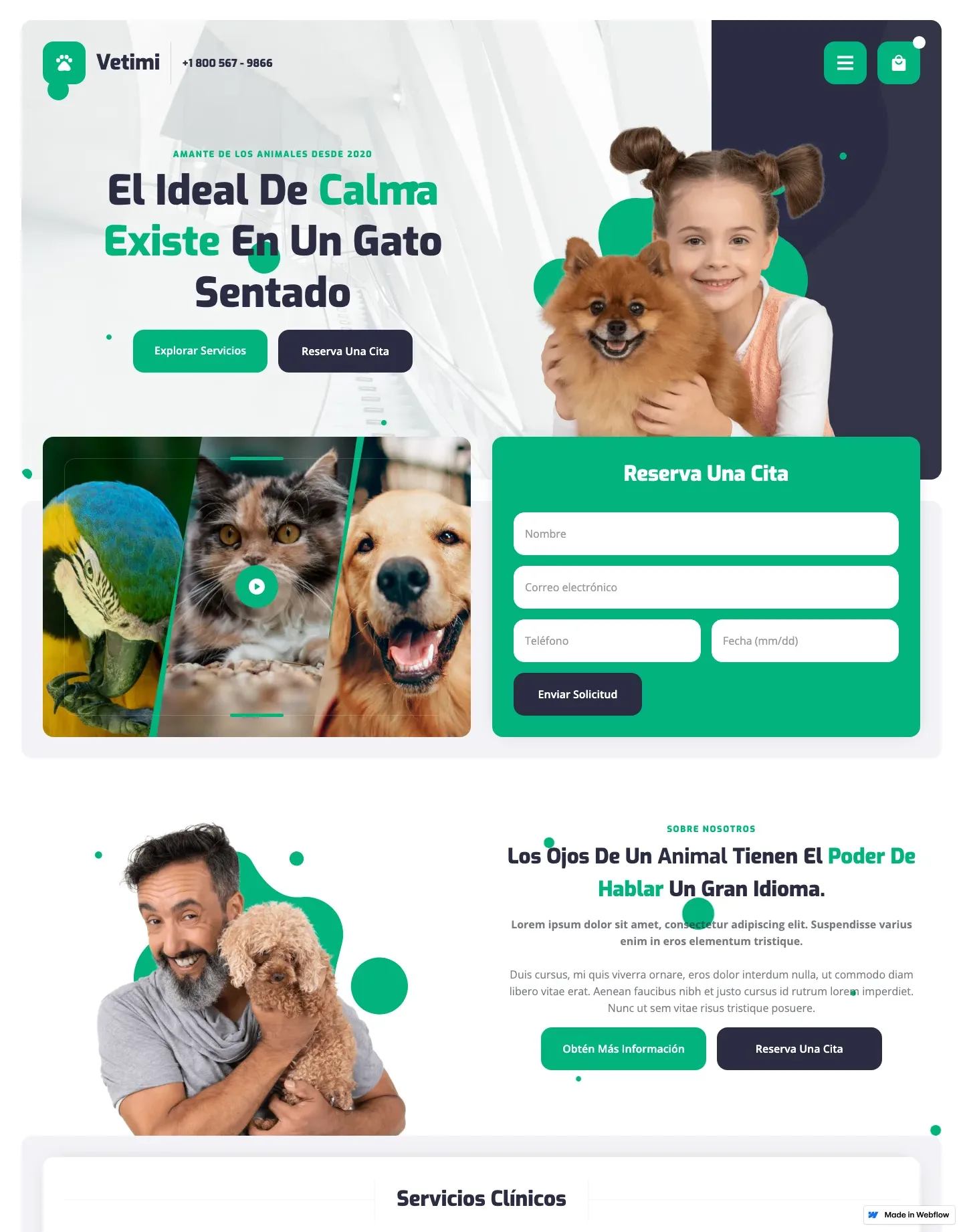 Diseño de página web para veterinarias