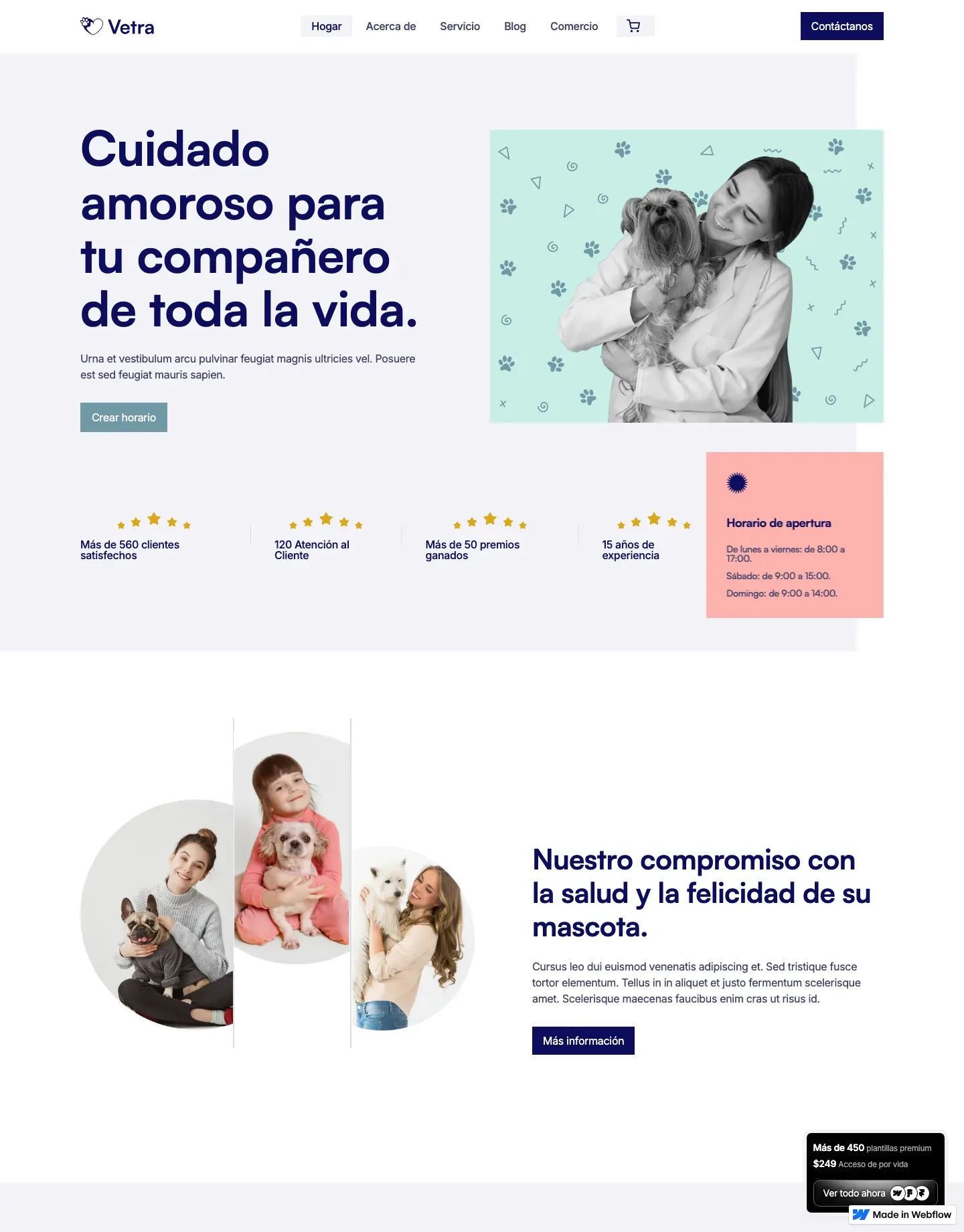 Diseño de página web para veterinarias
