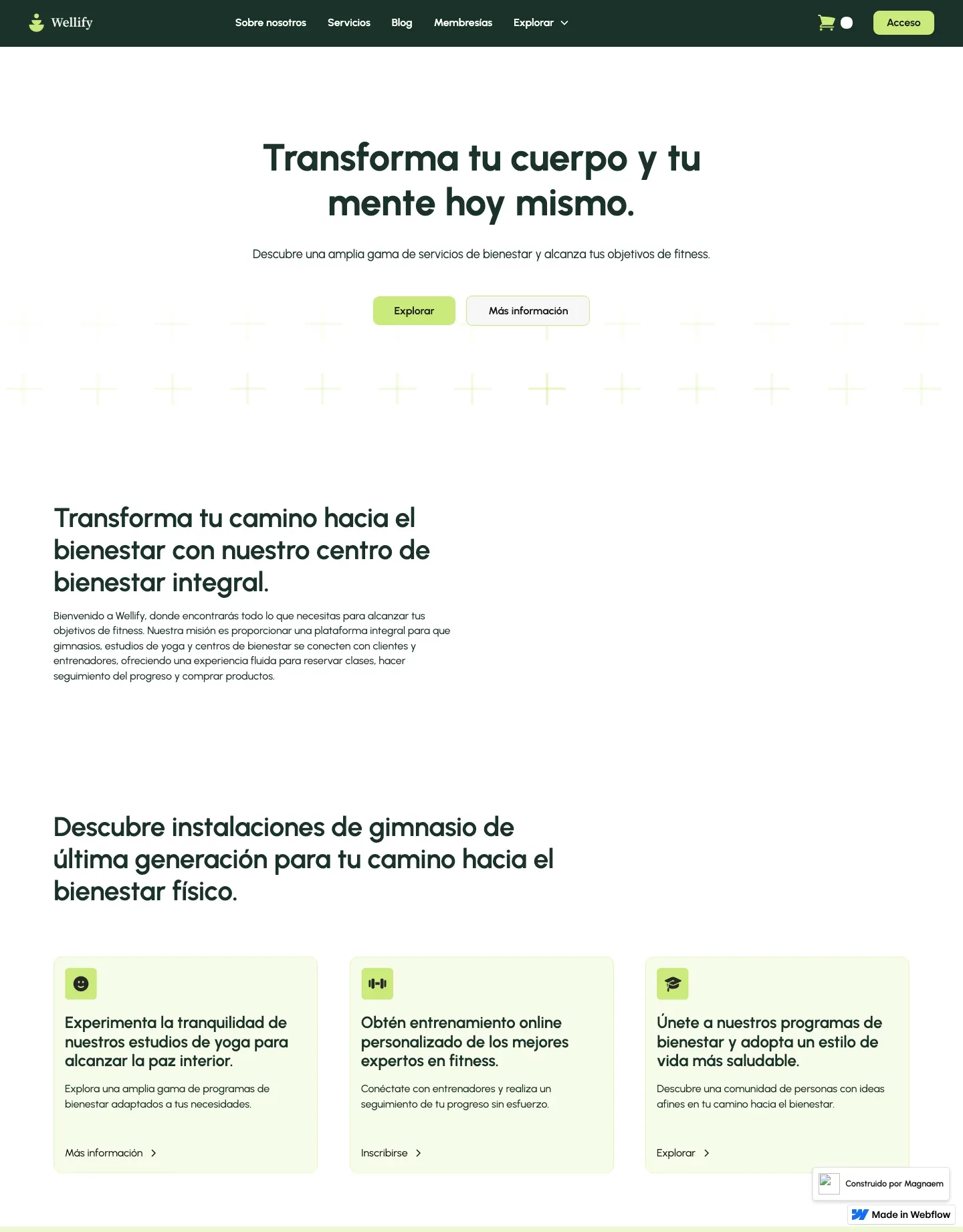 Diseño de página web para belleza y estética